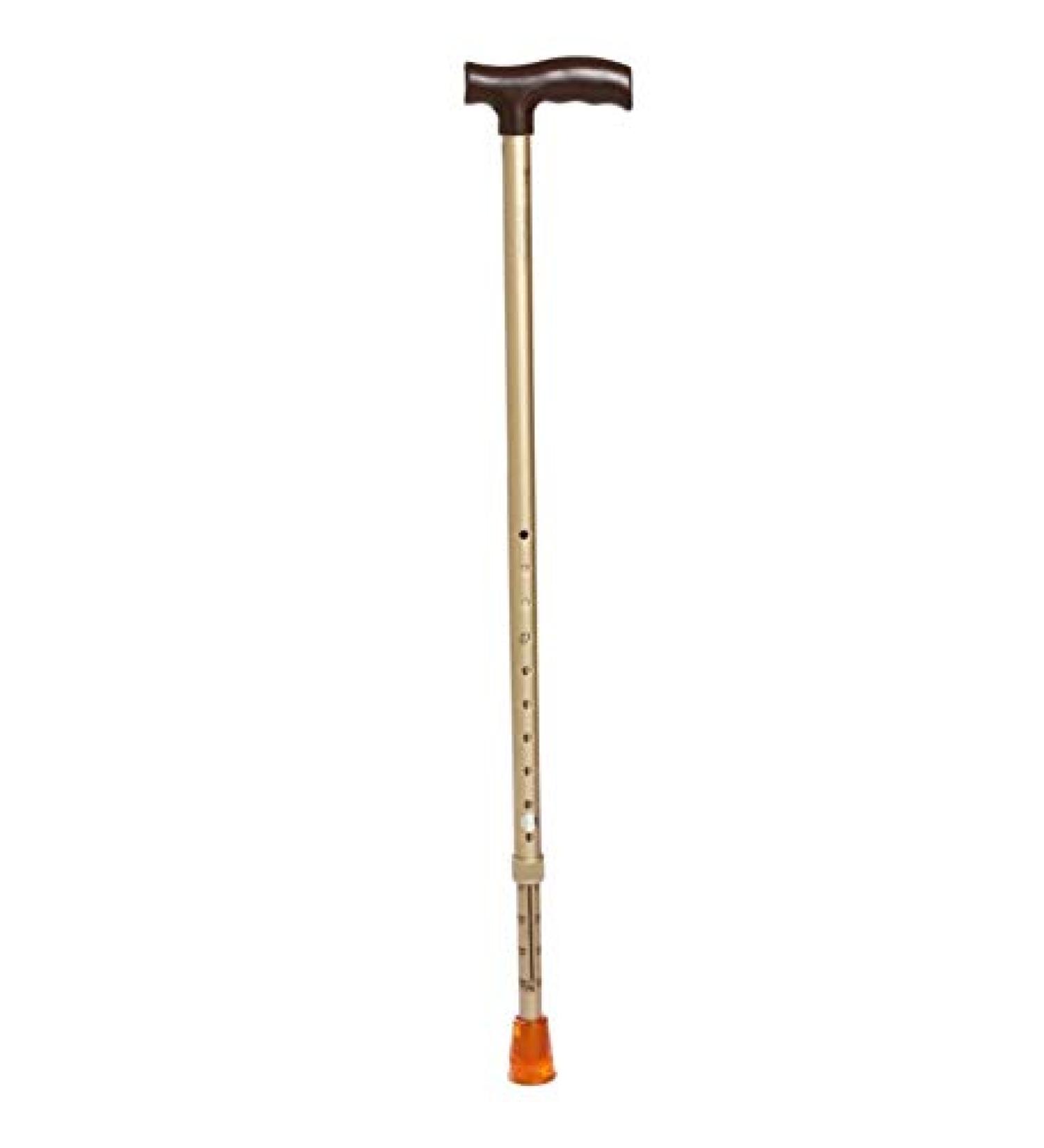 Walking Stick L Type - Bk 1 count - Buy Online on GoSupps.com