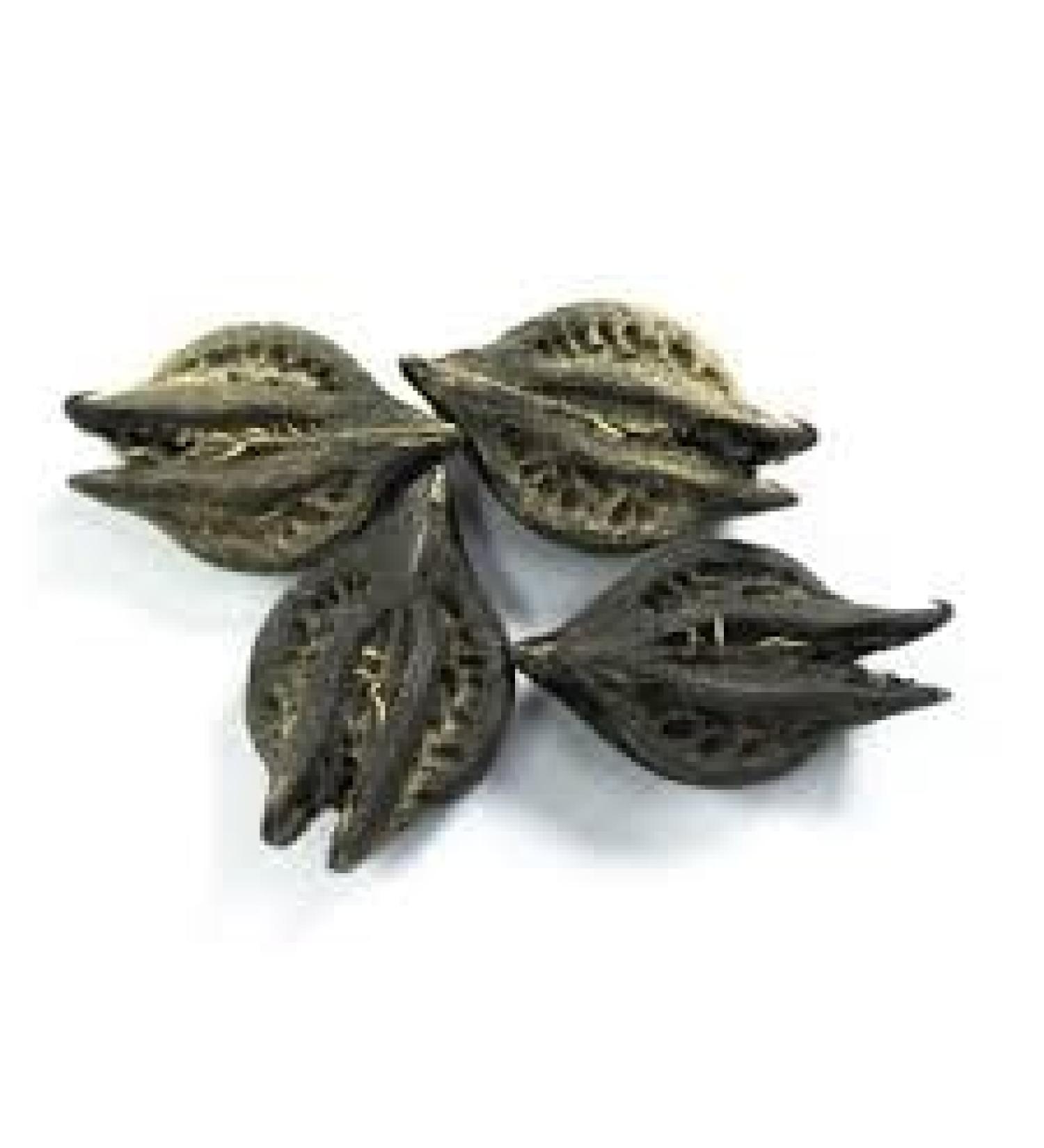 Bichhu Phal - Devils Claw - Tigers Claw - Baghnakh - Ulat Kanta - Bat Head Root - Evil Pod - Devil Pod - Bicchu Fal - Biccho Phal - Kaknasa - Martynia Annua 200 gram by Healing Herbs