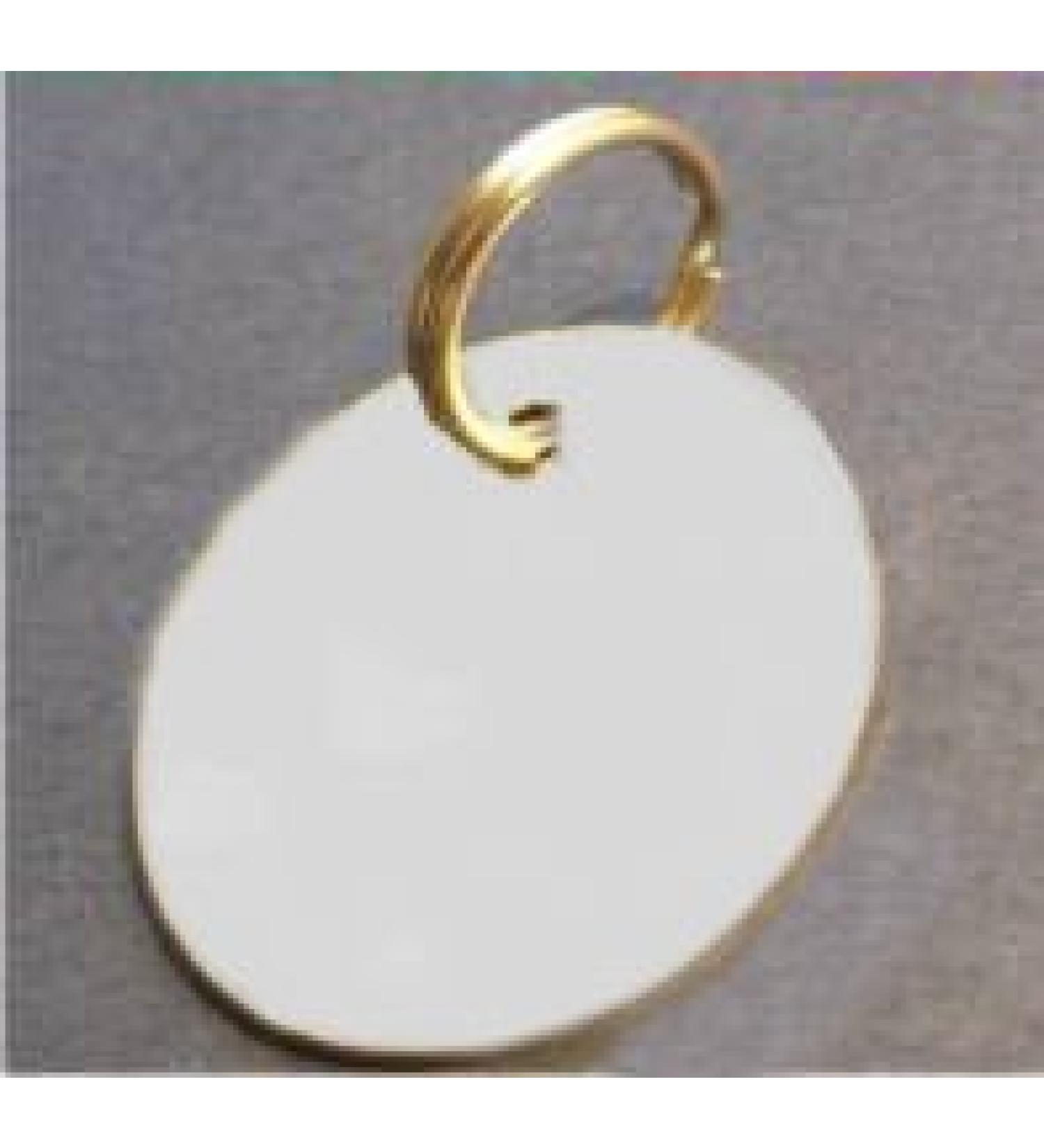 Quality Engraved Chrome 25mm Disc Identity Tag When Checking Out Please Tick The Gift Message Box To Send Us The Engraving Details