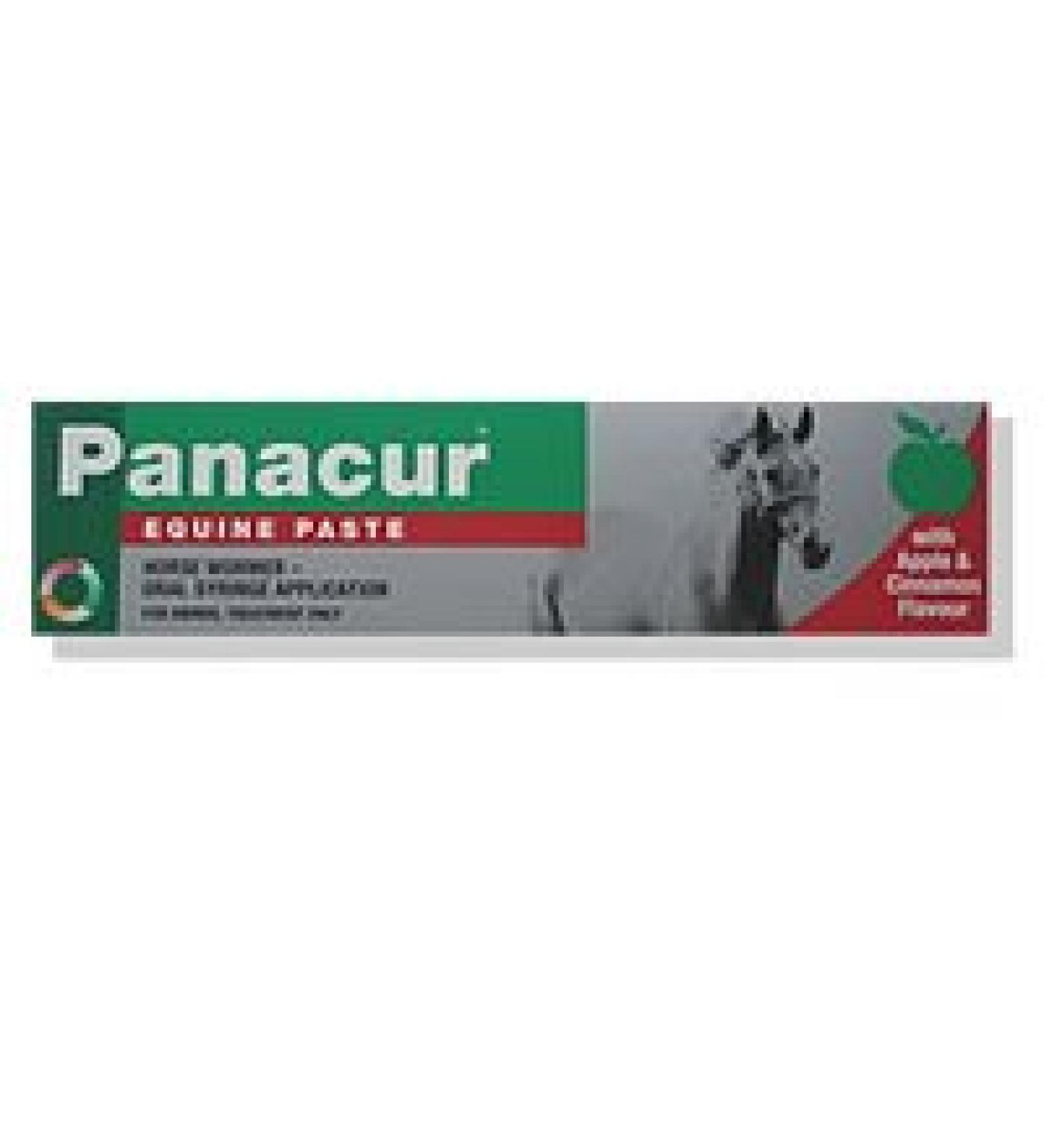 Panacur Equine Apple & Cinnamon (24g)