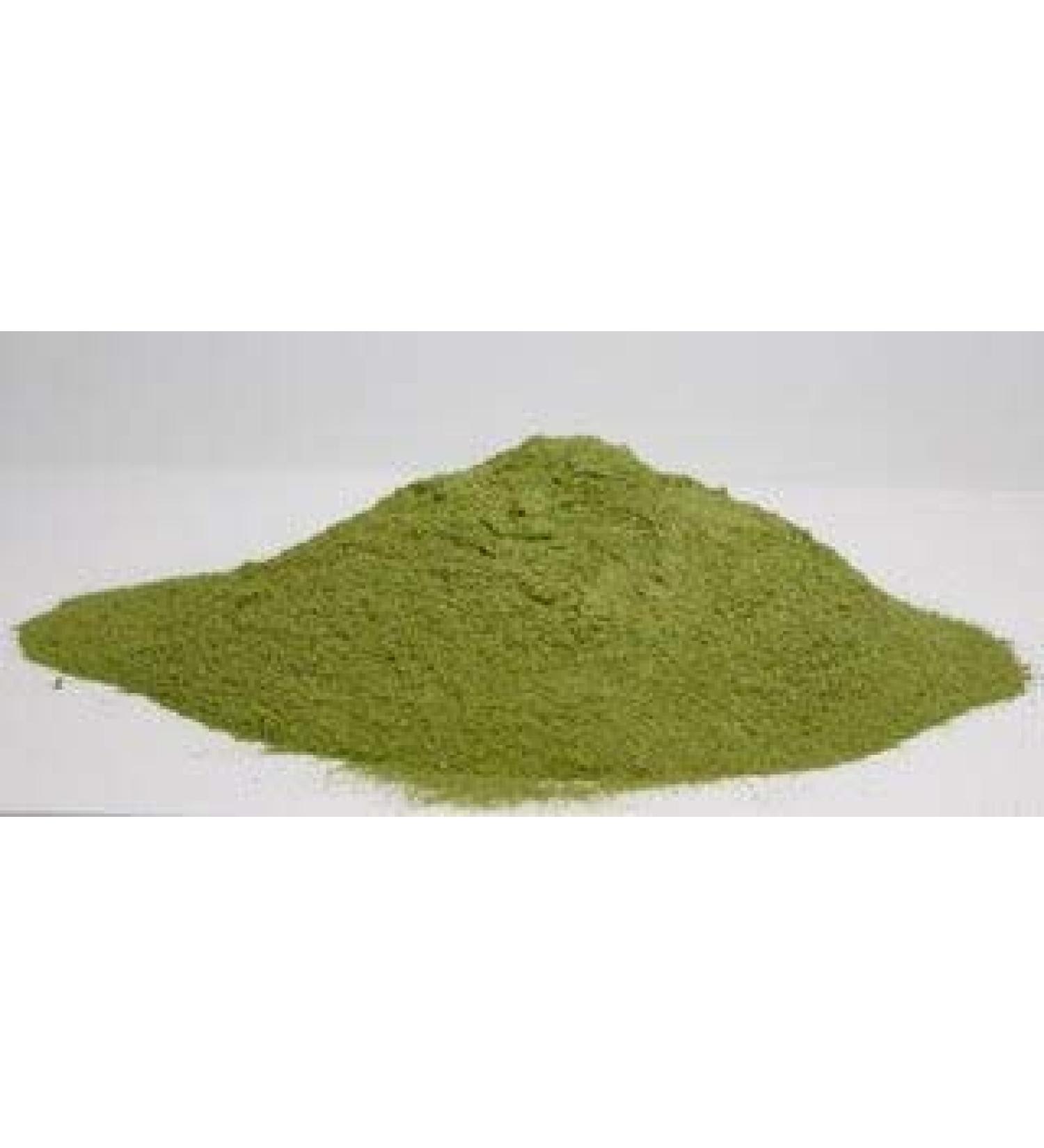 Neem Powder Organic Fresh Ground Neem Leaves - 1 Pound Bag Azadirachta Indica - Ayurvedic Herb for Skin & Blood