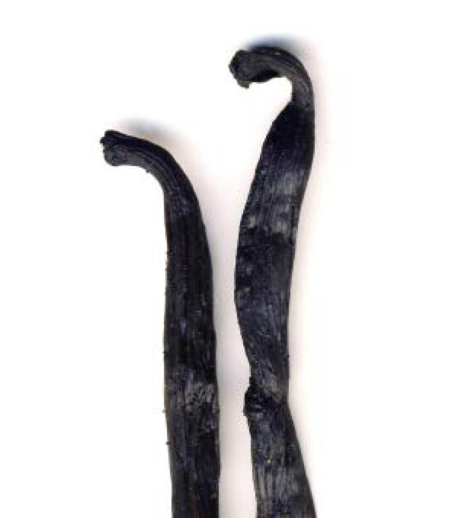 Vanilla Bourbon ORGANIC pods 100g from Dragonspice Naturwaren pods 100g