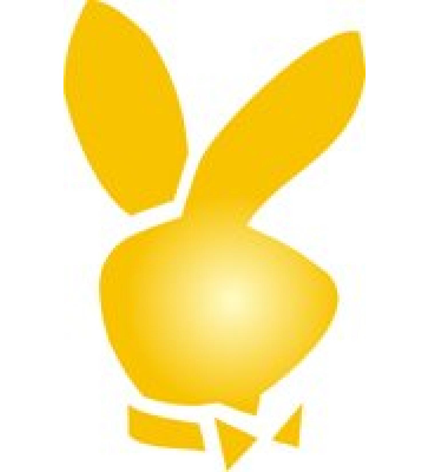 Eulenspiegel 105061 - Self-adhesive stencil - Bunny