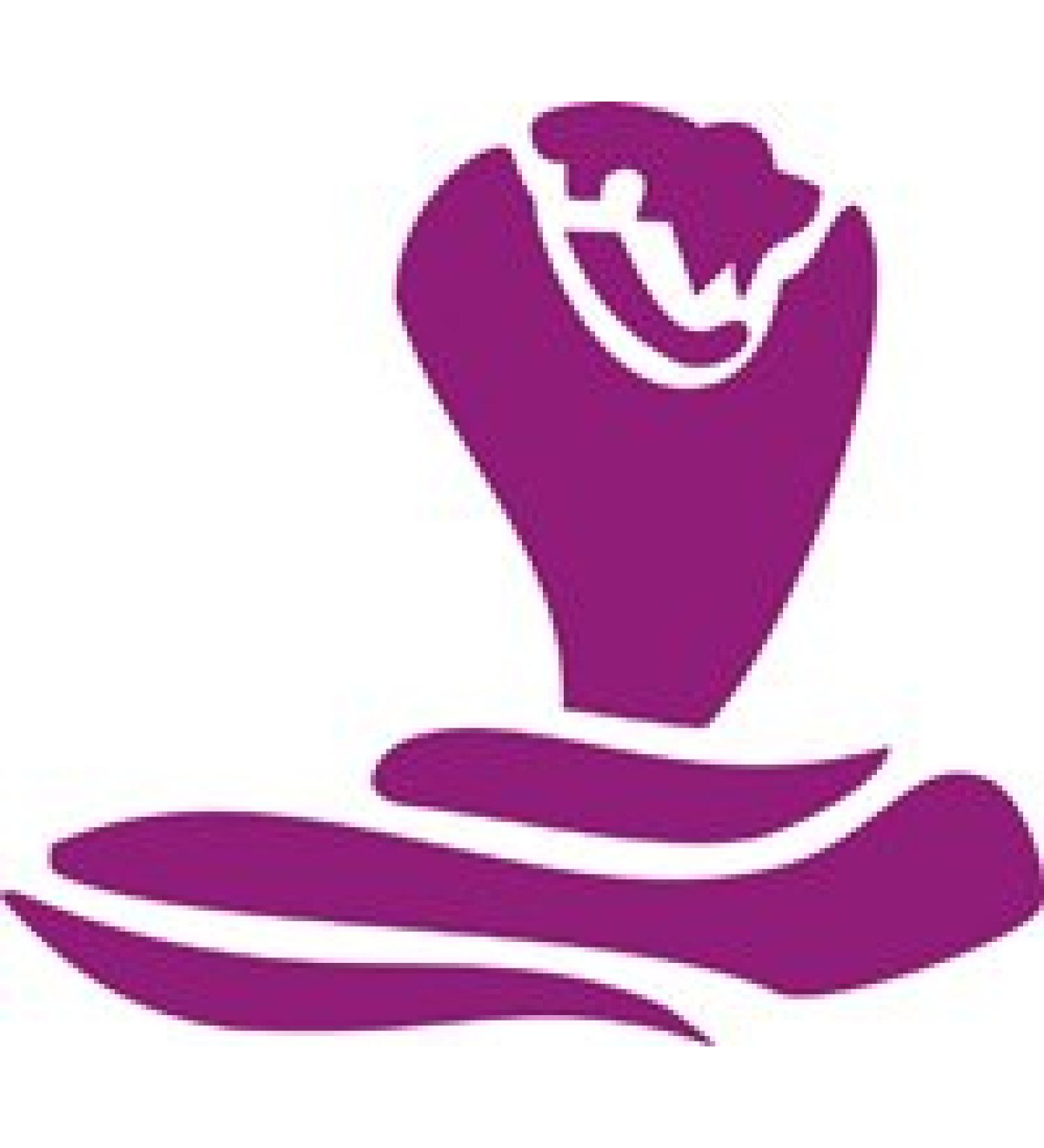 Eulenspiegel 105436 - Self-adhesive stencil - Cobra