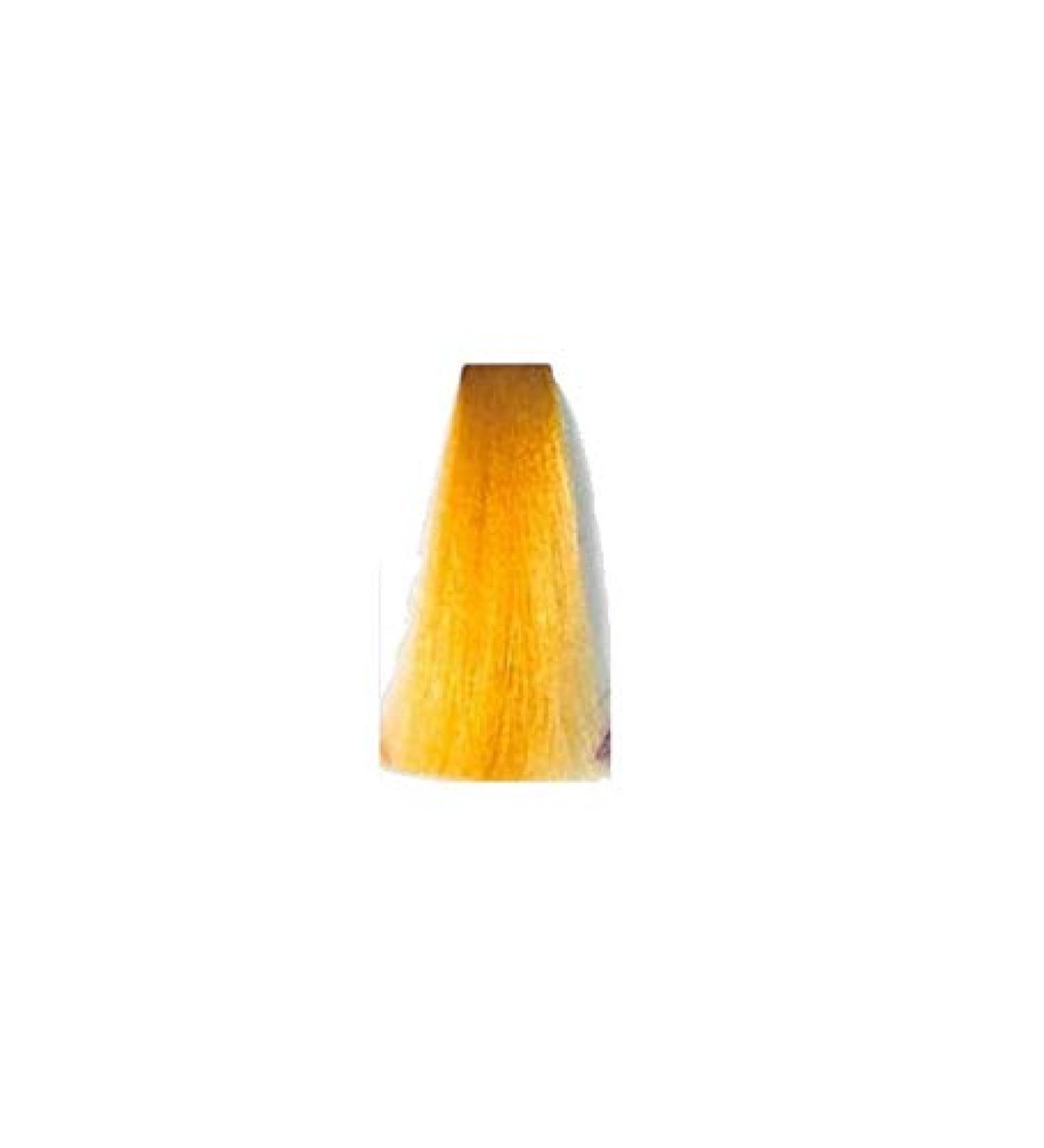 Inebrya Bionic Color Toner Geel 100 ml