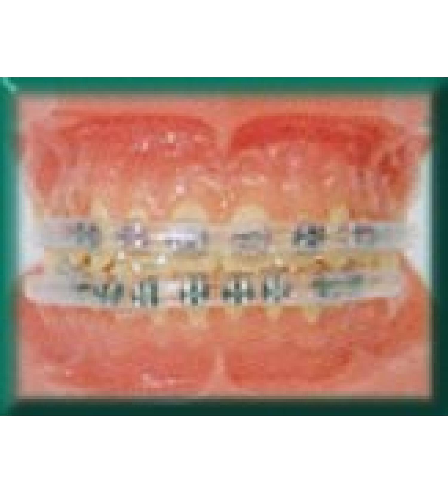 Morgan Bumper Braces Cover Lip Protector - Set of 2, Clear - Buy Online on GoSupps.com