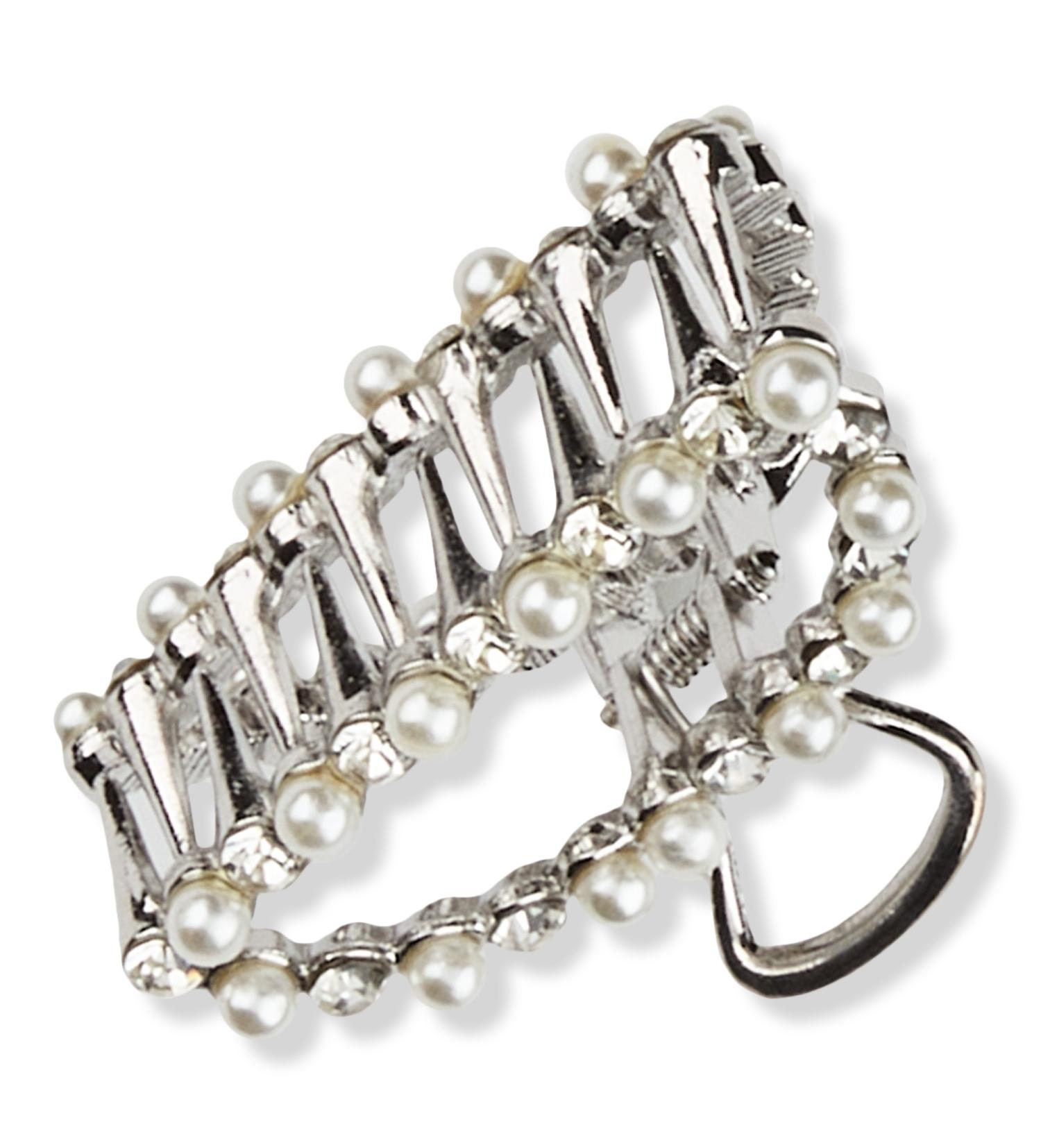 Scünci Elite Classic Silver-Finish Claw Hair Clip