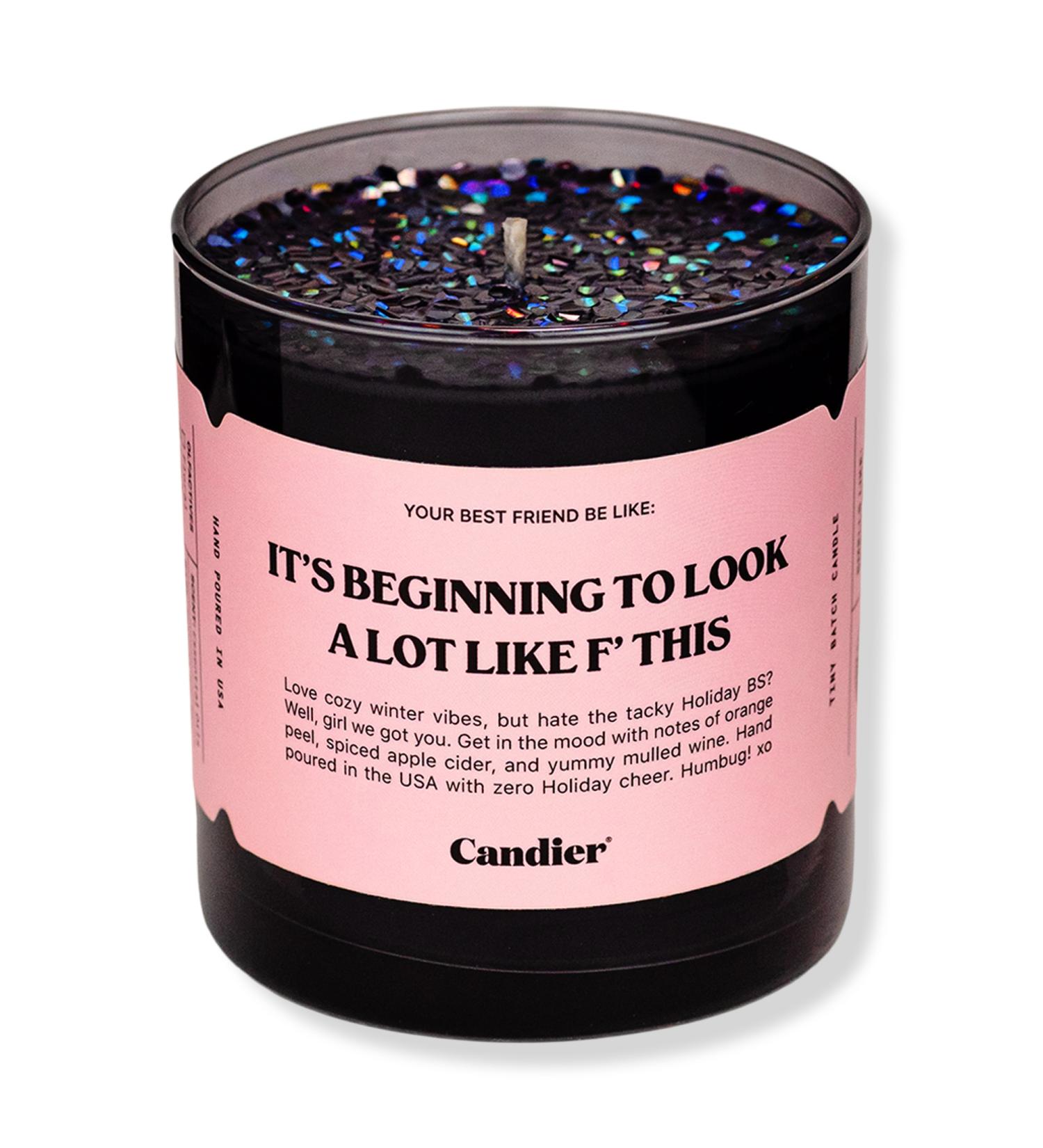 Candier It's Beginning to Look A Lot Like F This Candle 9.0 oz
