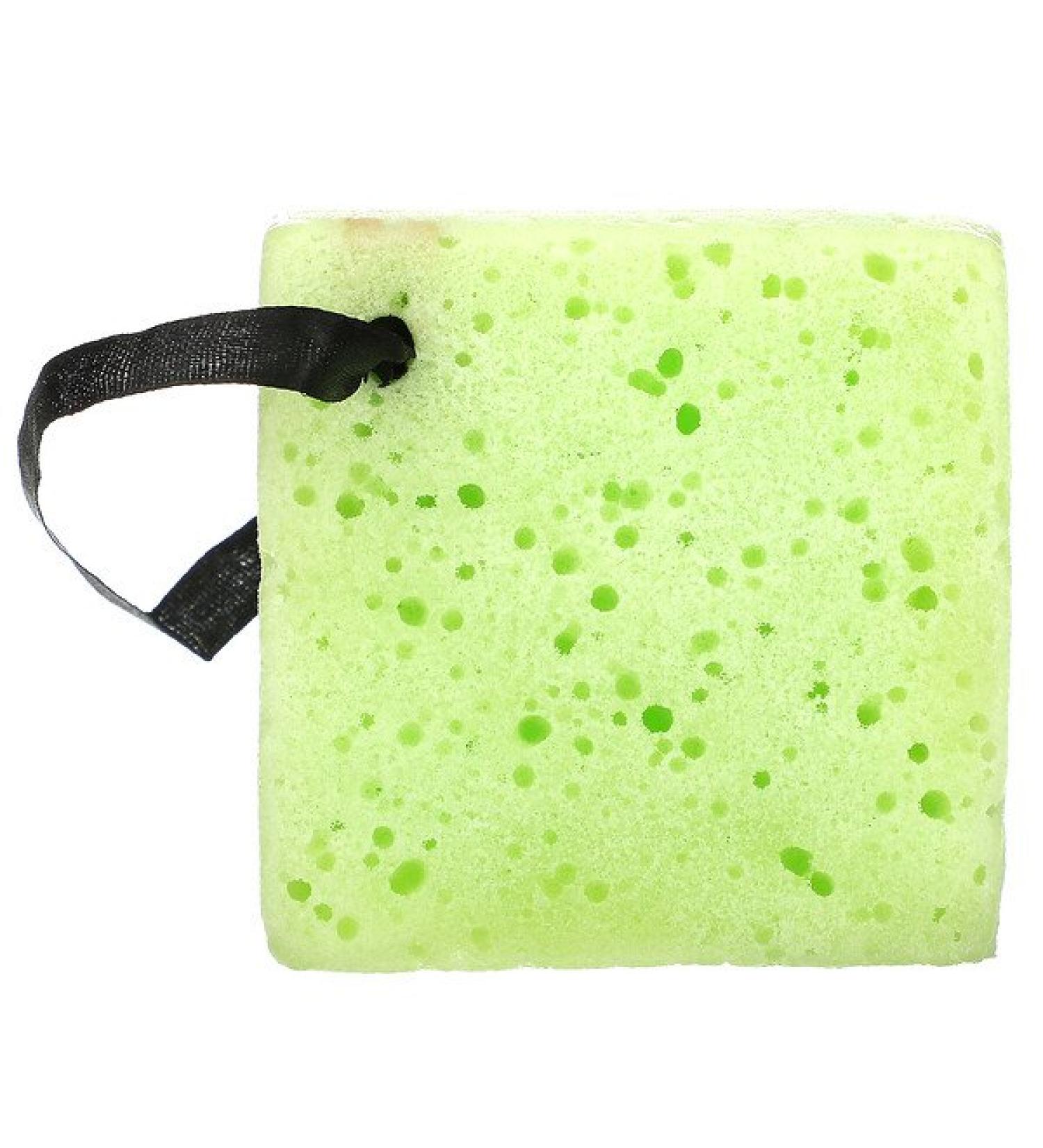 Freeman Beauty Green Tea Soap-Infused Sponge - Deep Cleansing, 2.65 oz - Buy Online on GoSupps.com