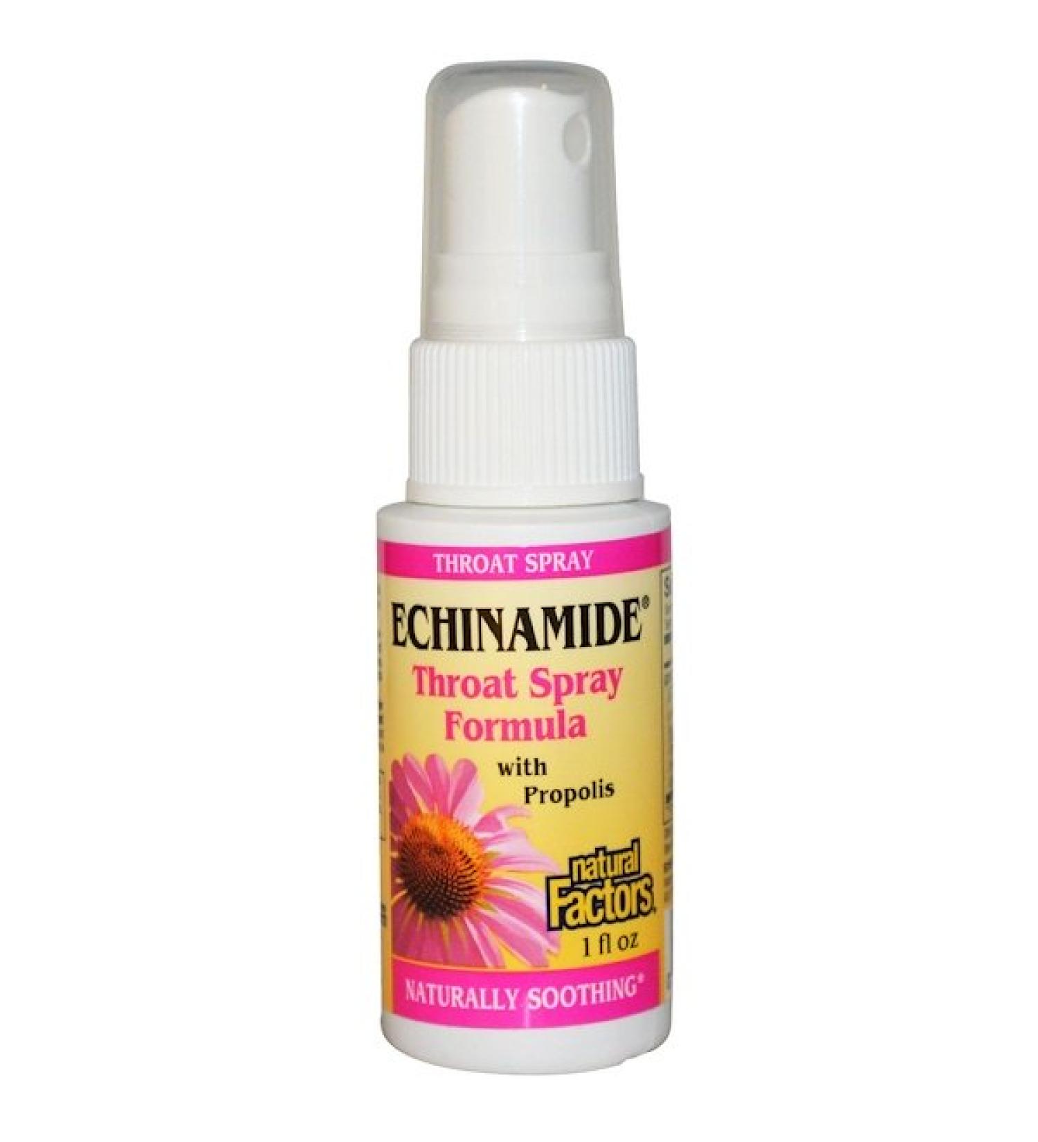 Natural Factors Echinamide Throat Spray Formula with Propolis 1 fl oz