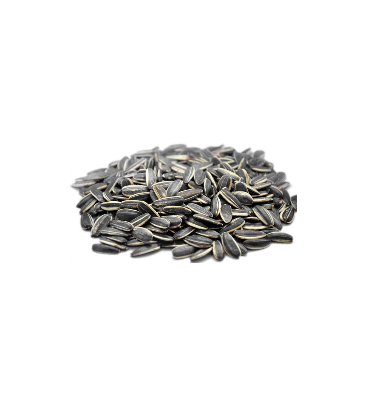 500 Gr Roasted Black Unsalted Seeds - Ankara Local Black Crocus