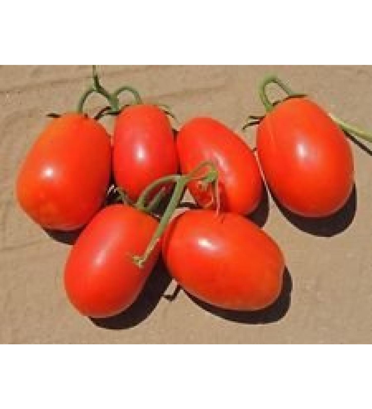 30 semi Rio Large Tomato 2017 ($ 3.00 max Shipping!) - Buy Online on GoSupps.com