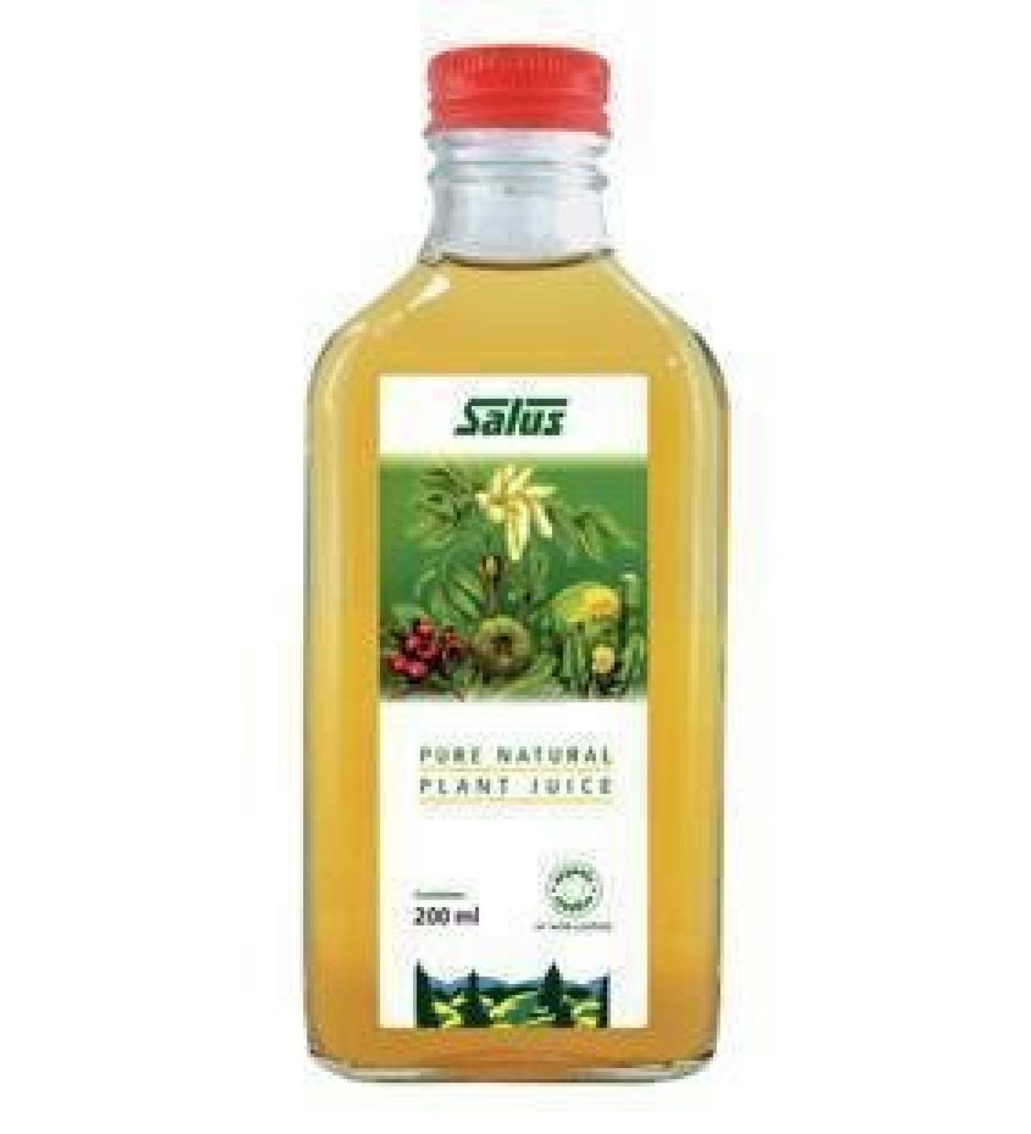 Dandelion Juice Organic (200mL) Brand: Salus Haus
