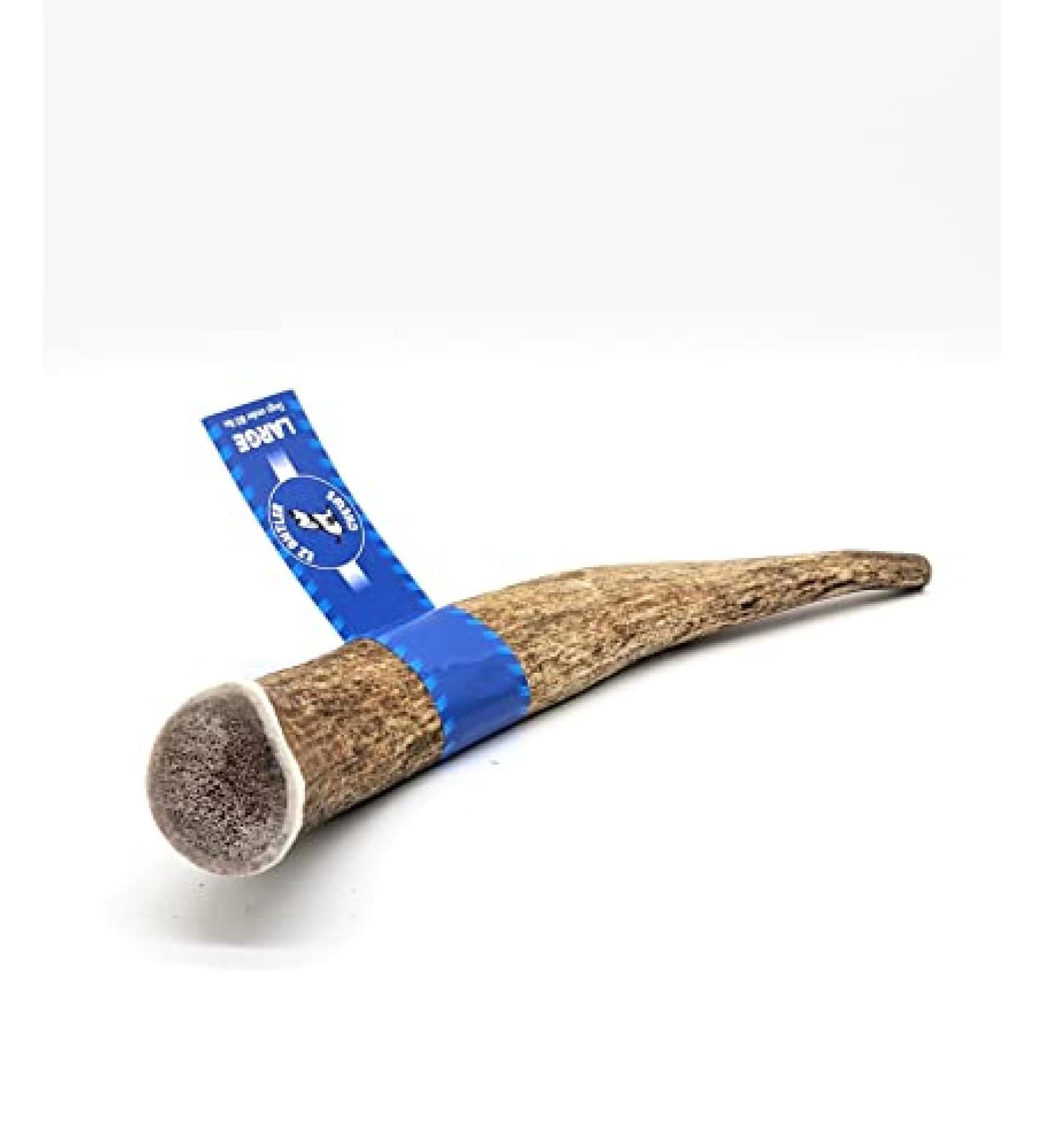 Elk Antler Dog Chews - Dental Sticks for Dogs - Premium Elk Antler Dog Bone - Natural Premium Long Lasting - Preservative Free Cruelty Free - Naturally Shed in Canada by EZ Antler Chews (Large Whole) - Buy Online on GoSupps.com