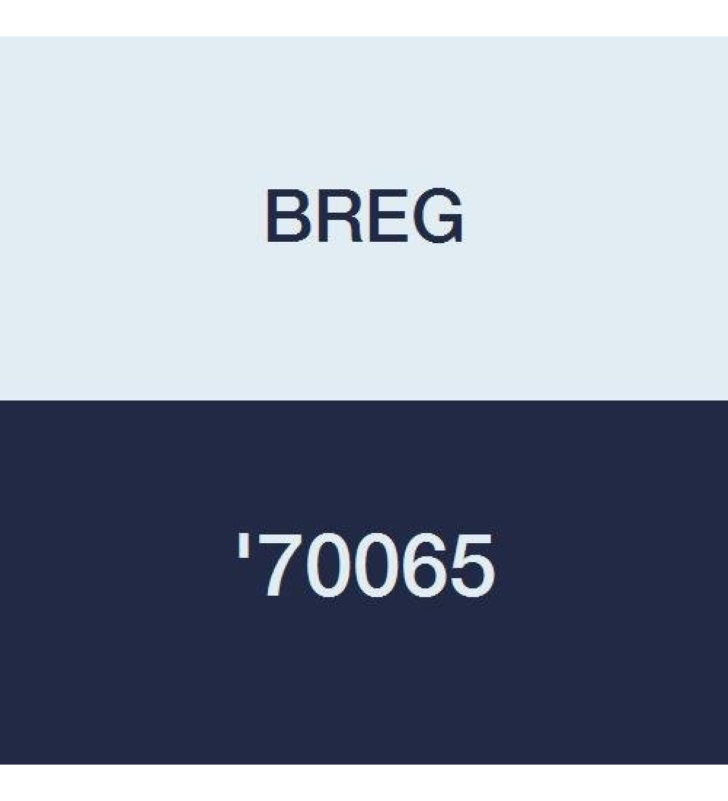 BREG '70065 Kit Refurbished X2K Cf XL