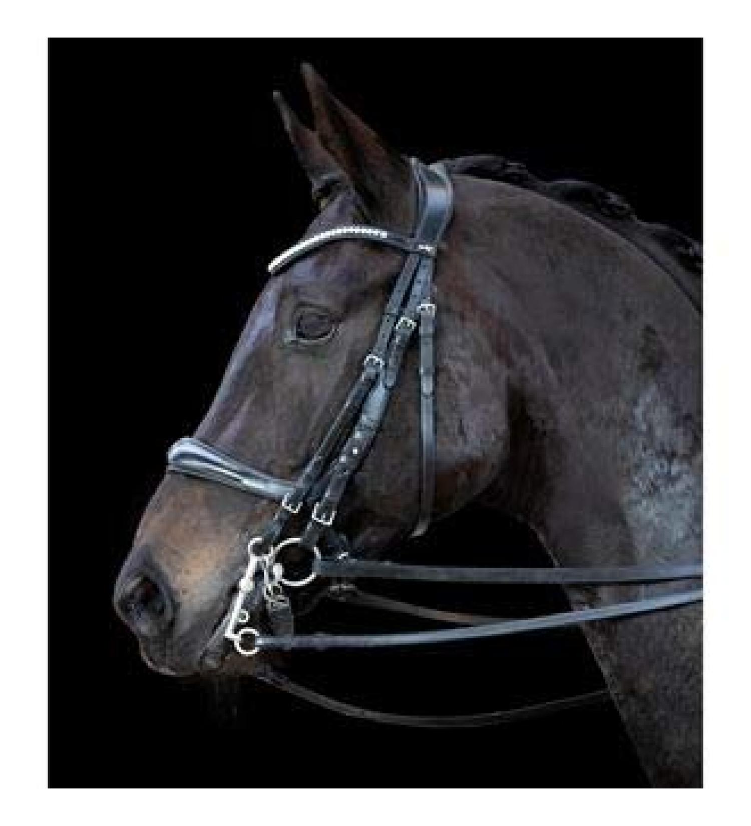 Schockem hle Sports Double Bridle EQUITUS Gamma XWB Black - Premium International Equestrian Gear - Buy Online on GoSupps.com