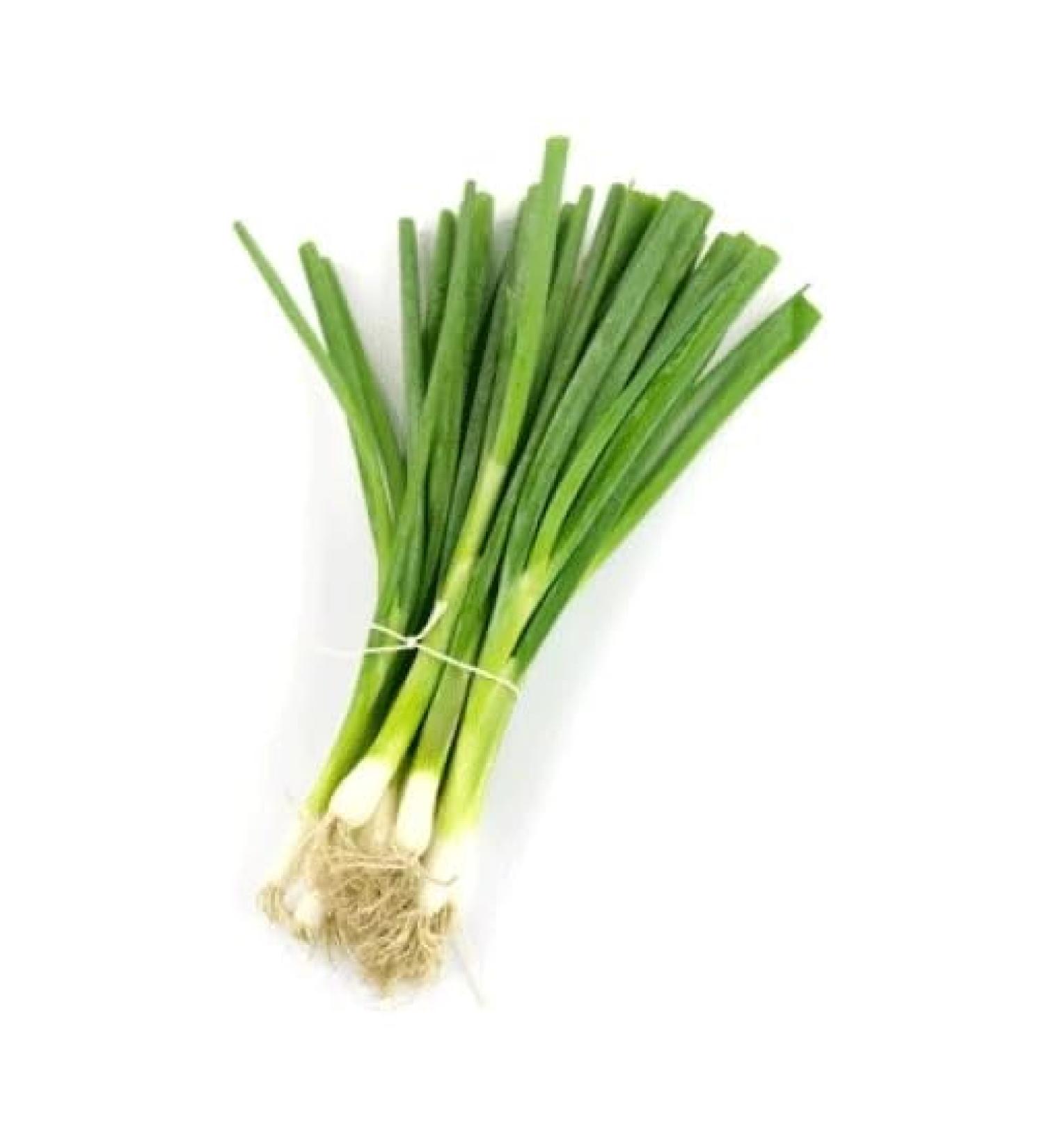 Fresh Thai Spring Onion 1KG | Spring onion | 100% Fresh | Control Hair Fall| Boosts Immune System | Healthy| Indian Origin | Next Day Shipping By Seelans - Buy Online on GoSupps.com