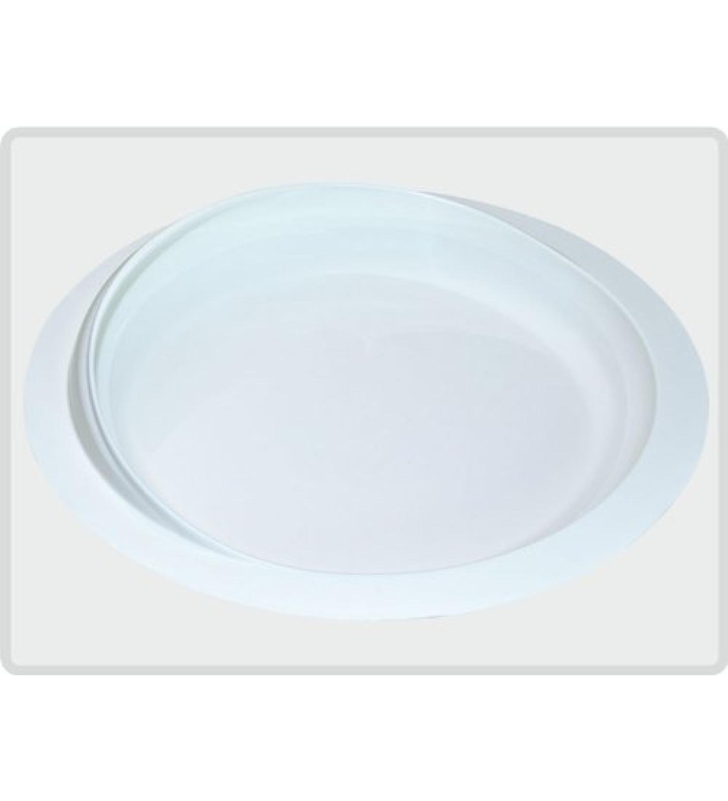 Plate with raised edge and suction cup