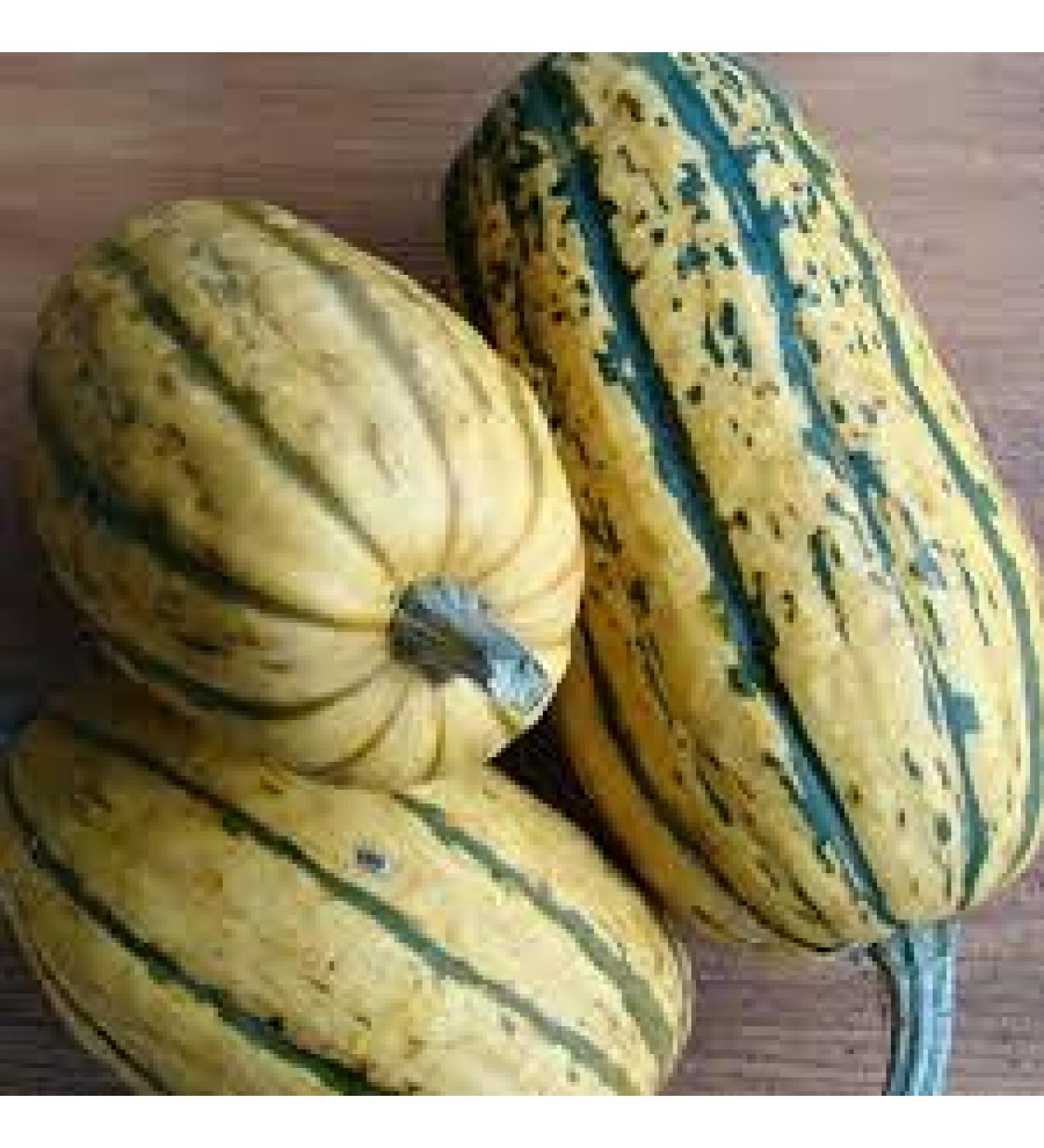 Aamish 10 semi di frutta anguria Zucchero Baby