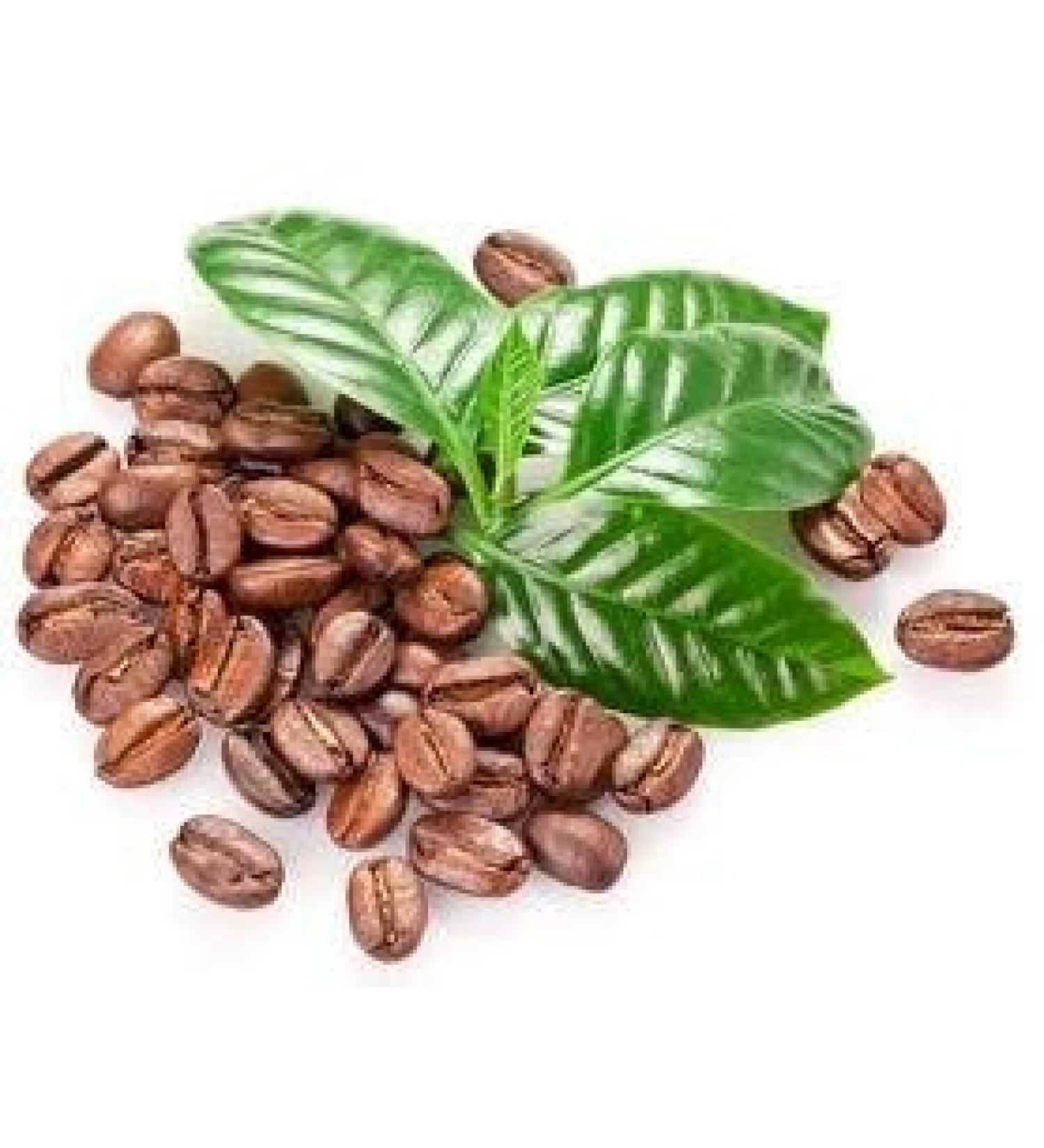 Coffee Bean Semi Verde Alimentari Semi del caff Vero al 100% di caff Semi 10 Particelle/Bag