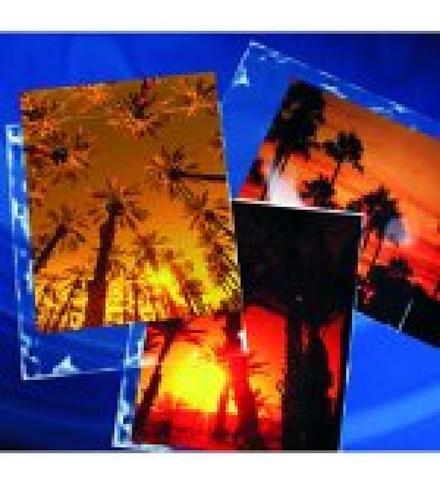 Archival-Plus Print Page, Holds Two 8 x 10" Prints - 25 Pack
