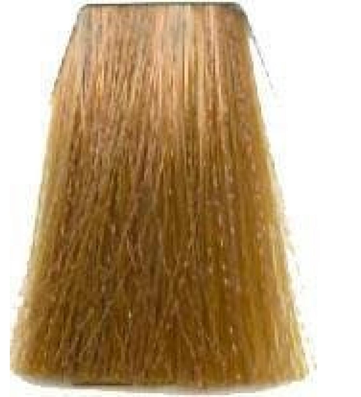 8/73 hellblond braun-gold 8/73 hellblond braun-gold - Buy Online on GoSupps.com