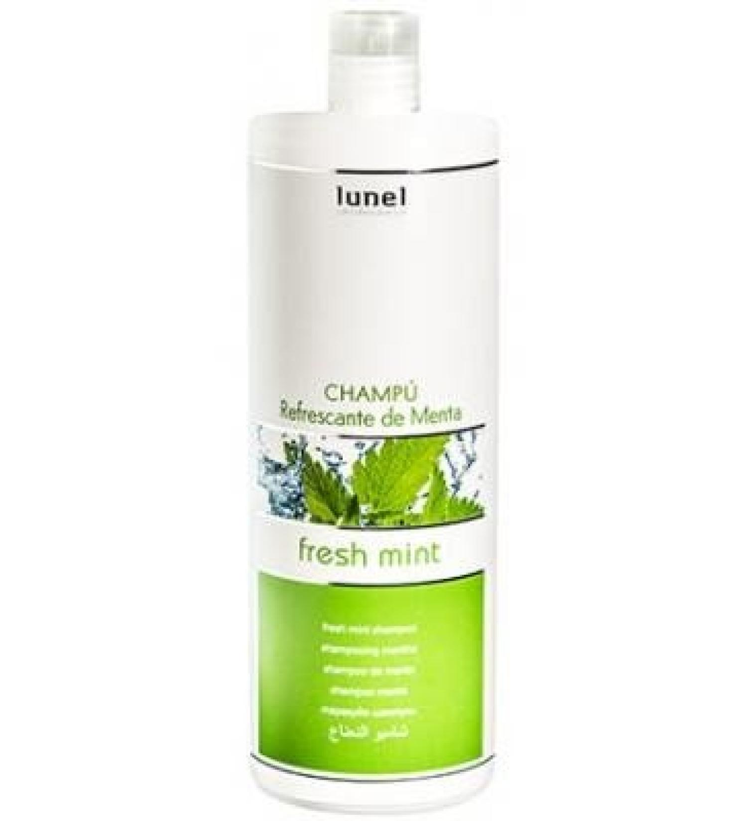 Lunel Shampooing Rafra chissant la Menthe Fra che Formule Revitalisante