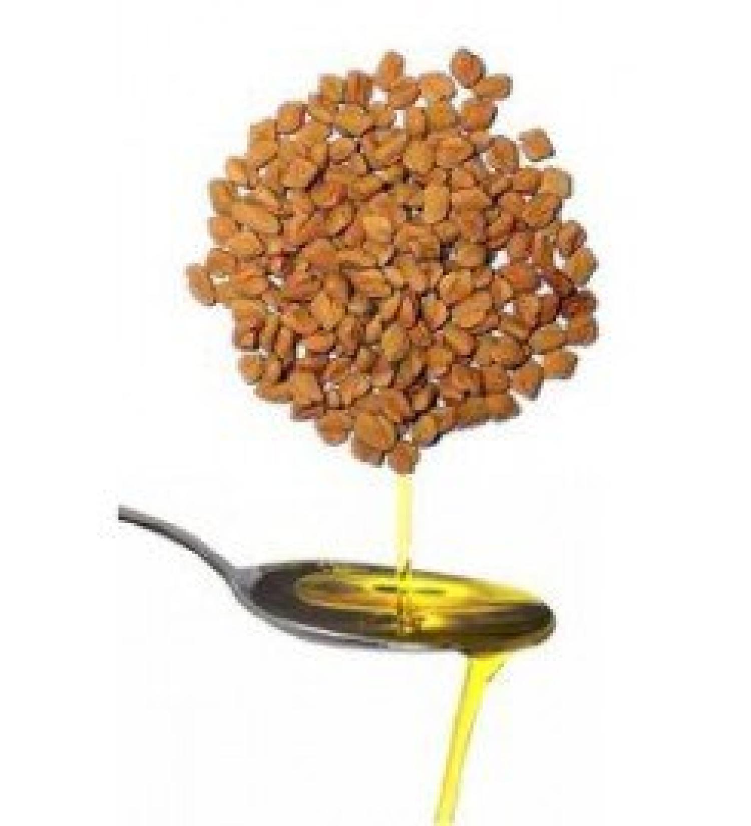 Bockshorn clover oil 60 ml cold pressed
