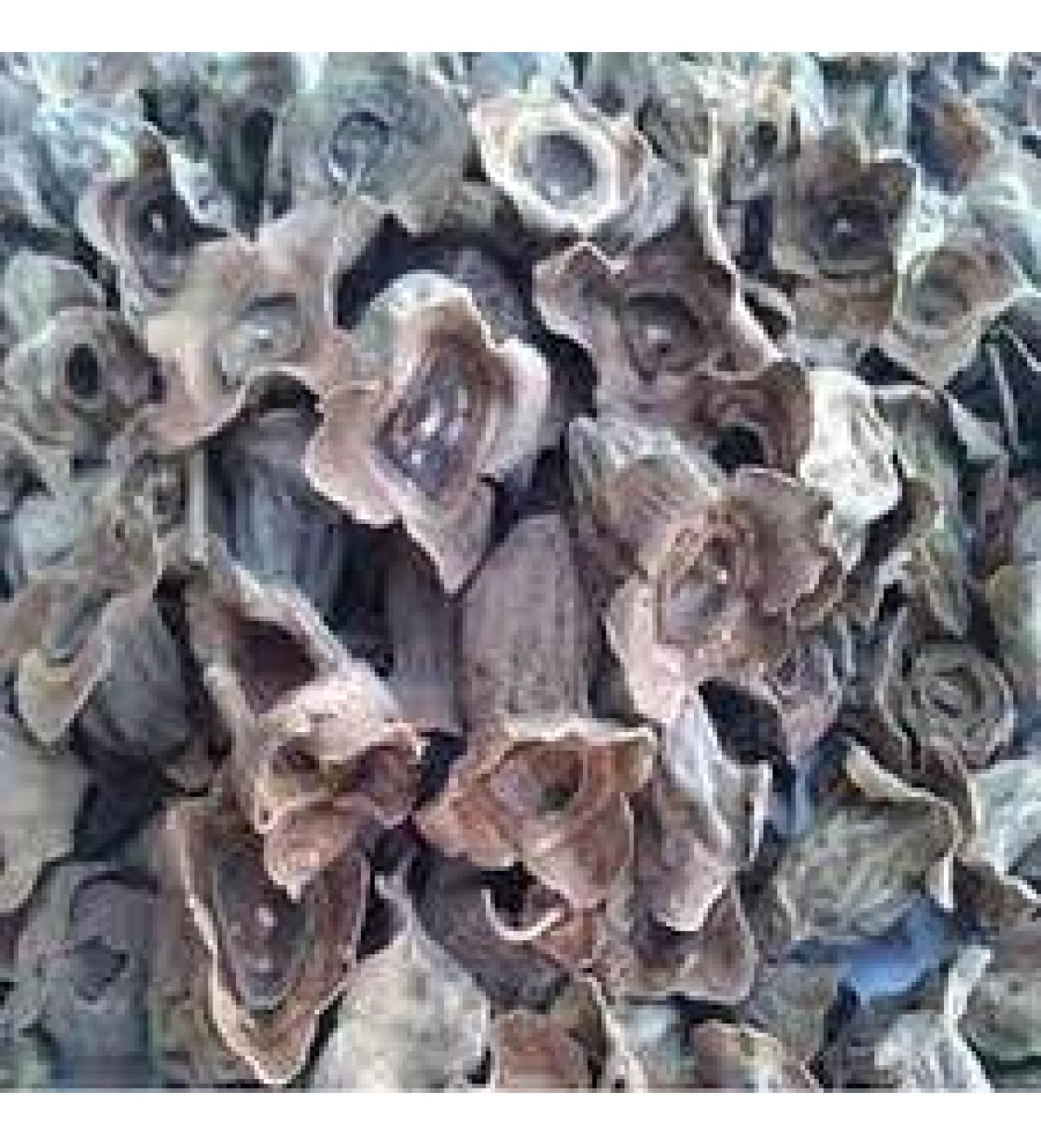 Neel Ayurvedics Vakumba | Kumbhi - 250 Gm