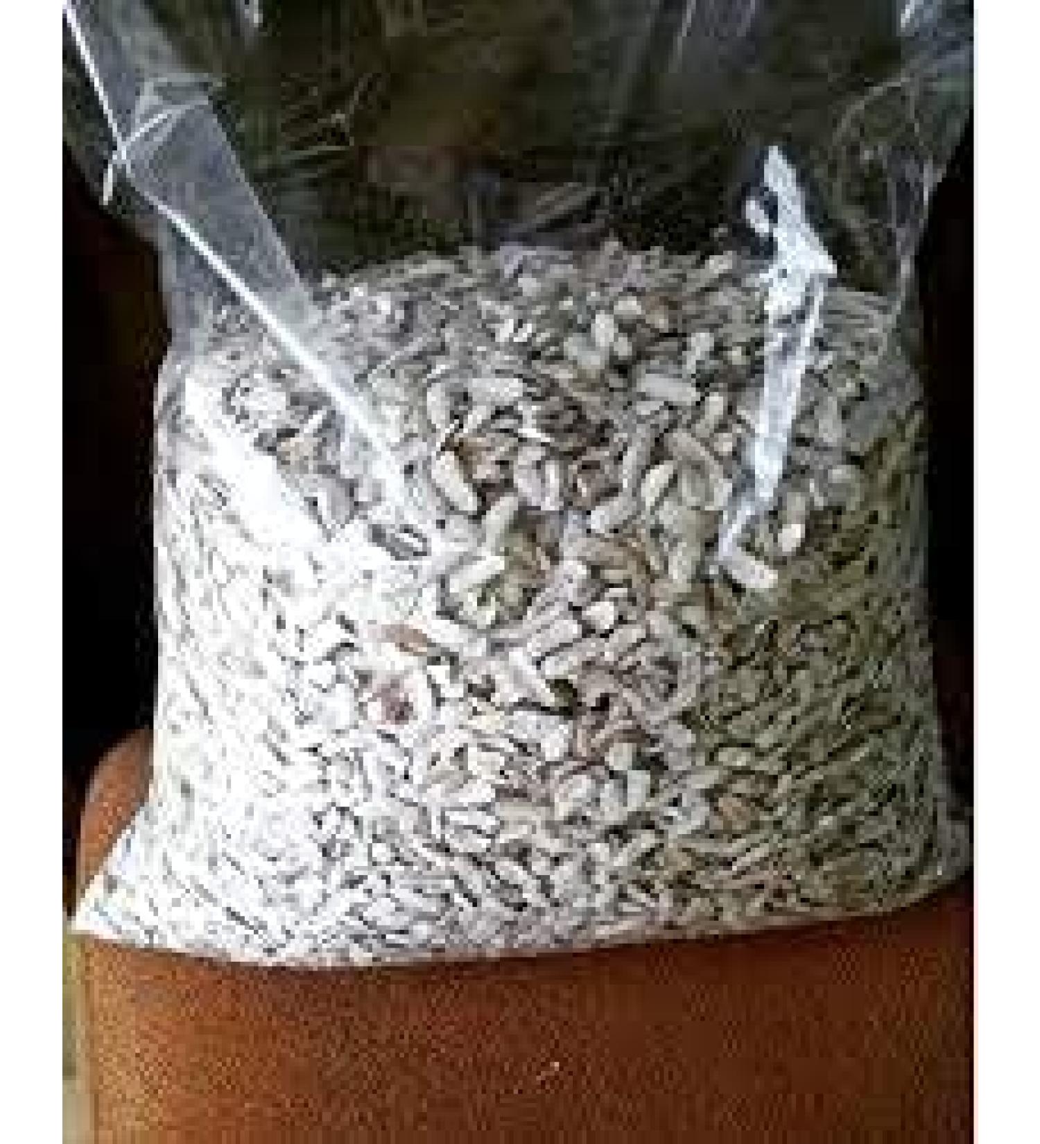 Dalal Kadwa Badam (Bitter Almonds) Quality Seeds - 75 gm - Buy Online on GoSupps.com