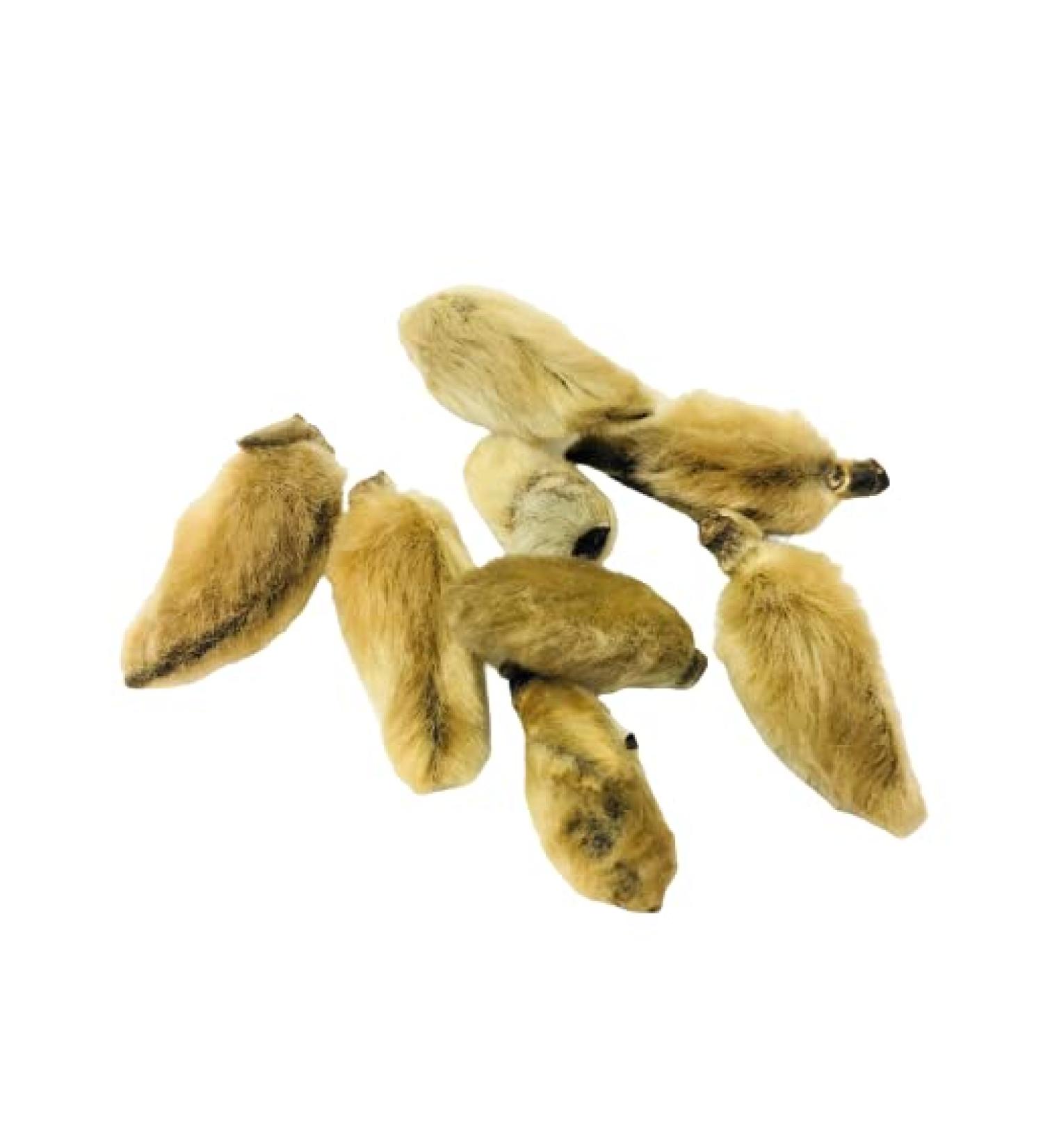 Natural Code - Dried Flos Magnoliae - Magnolia Flower - Xin Yi Hua - - Non GMO - Vegan - No Preservatives or Additives - 100% Natural - Buy Online on GoSupps.com