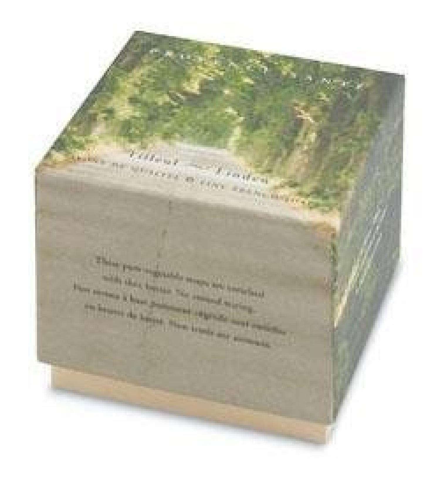 Provence Sante Linden Gift Soap