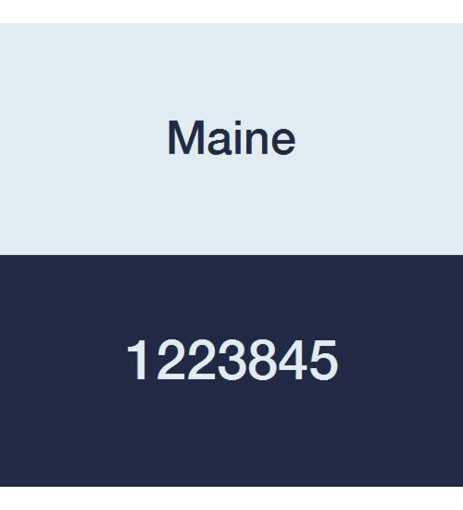 Maine 1223845 PES Capsule Filter Hydrophilic Polyester Housing 0.2 m Pore Size 1/2 NPT Male