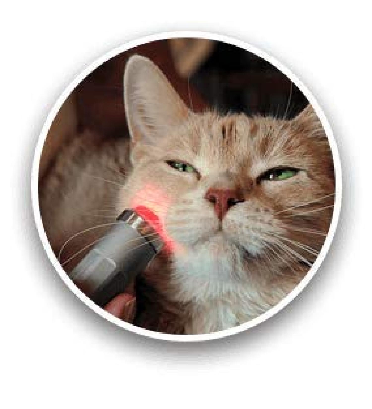 playhair Red Led Light Therapy Device -Cat Dog Horse. Pain Relief Hip Joint Mobility.and Inflammation Relief Advanced Pain Relief - Buy Online on GoSupps.com