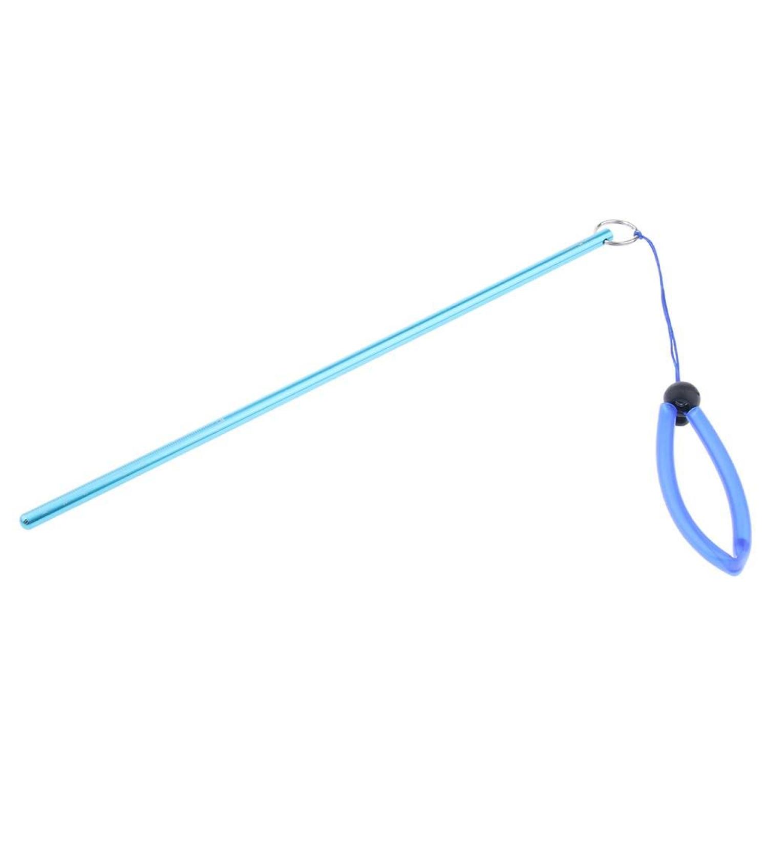 Jili Online 34cm/13.4 Ultra-Light Aluminum Scuba Diving Lobster Stick Pointer Rod in Blue - Buy Online on GoSupps.com