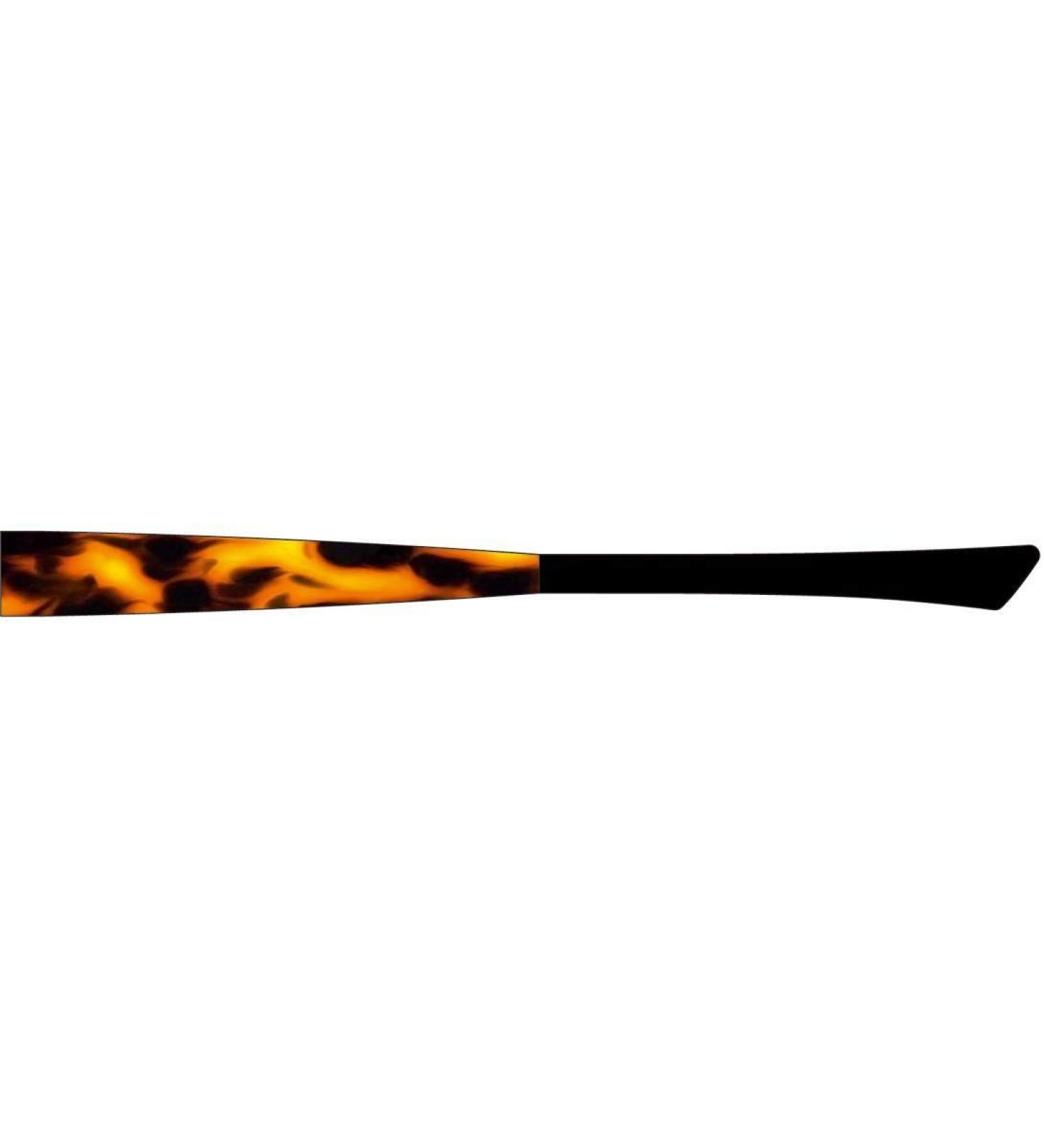 Eye Max interchangeable temples 5475.01 acetate style flamed