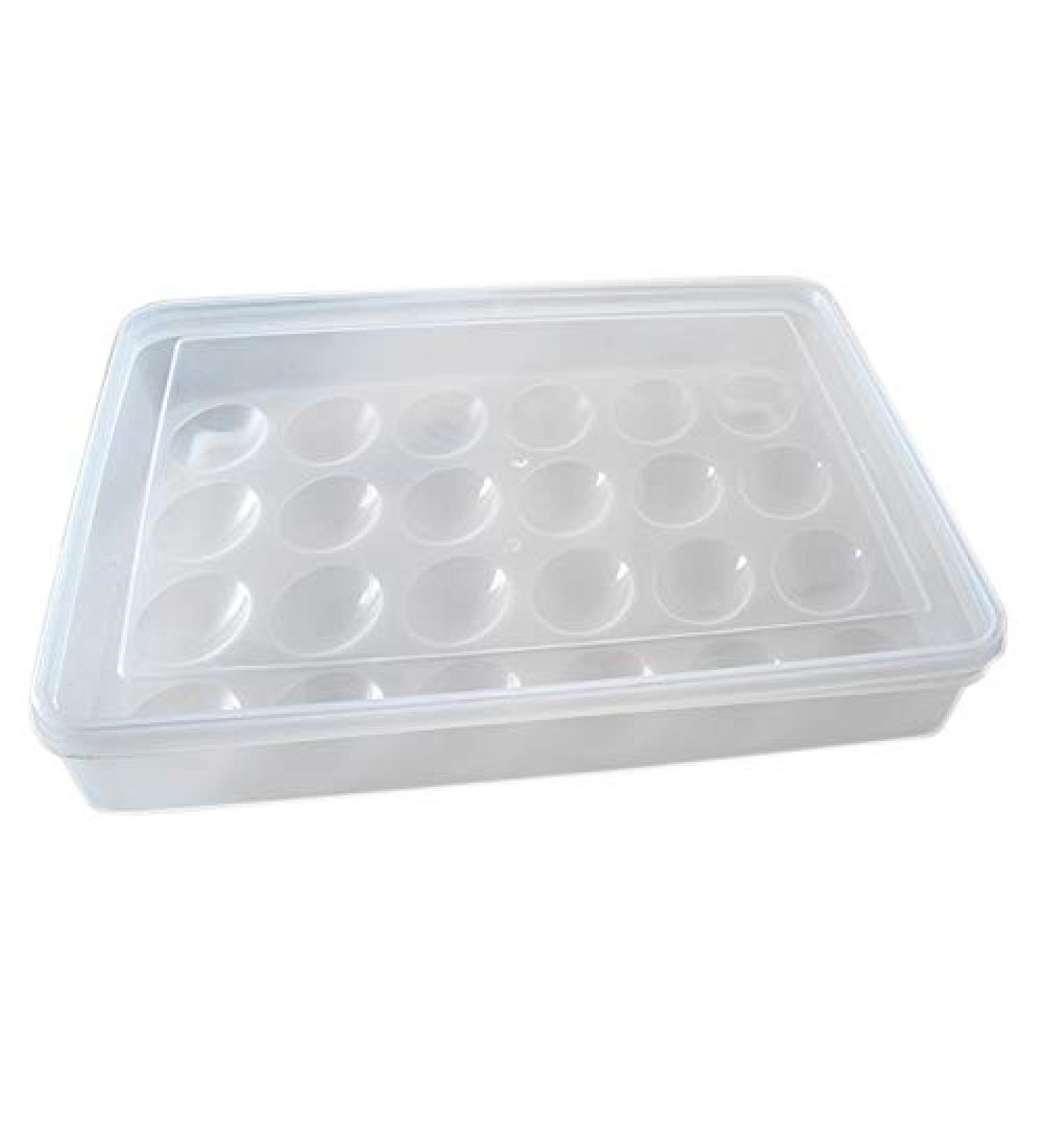 CWDRDX Egg Holder for Refrigerator Deviled Egg with Lid Fridge Egg Storage Stackable Plastic Egg Containers 24 Egg - Buy Online on GoSupps.com