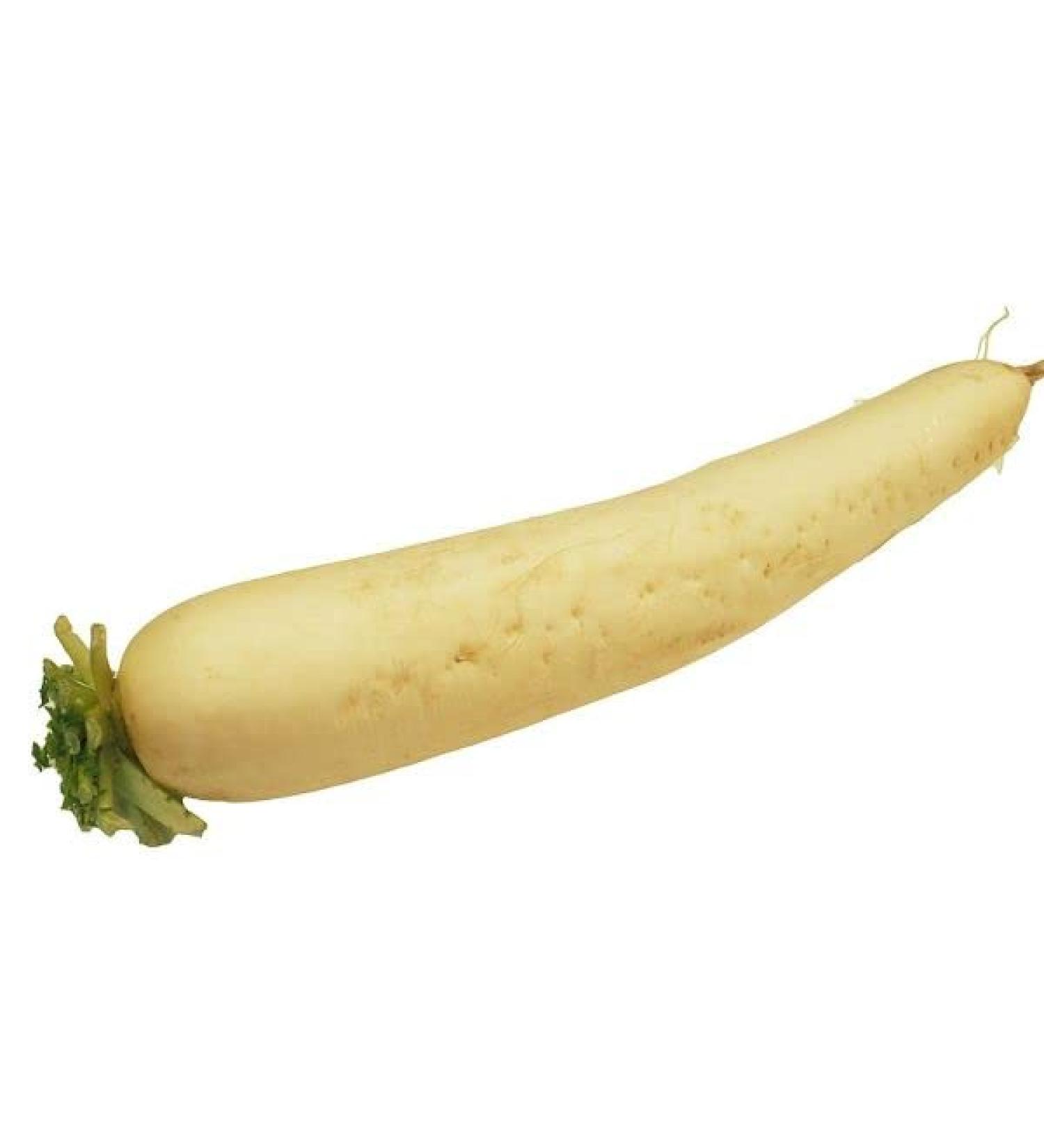 White Mooli x 3