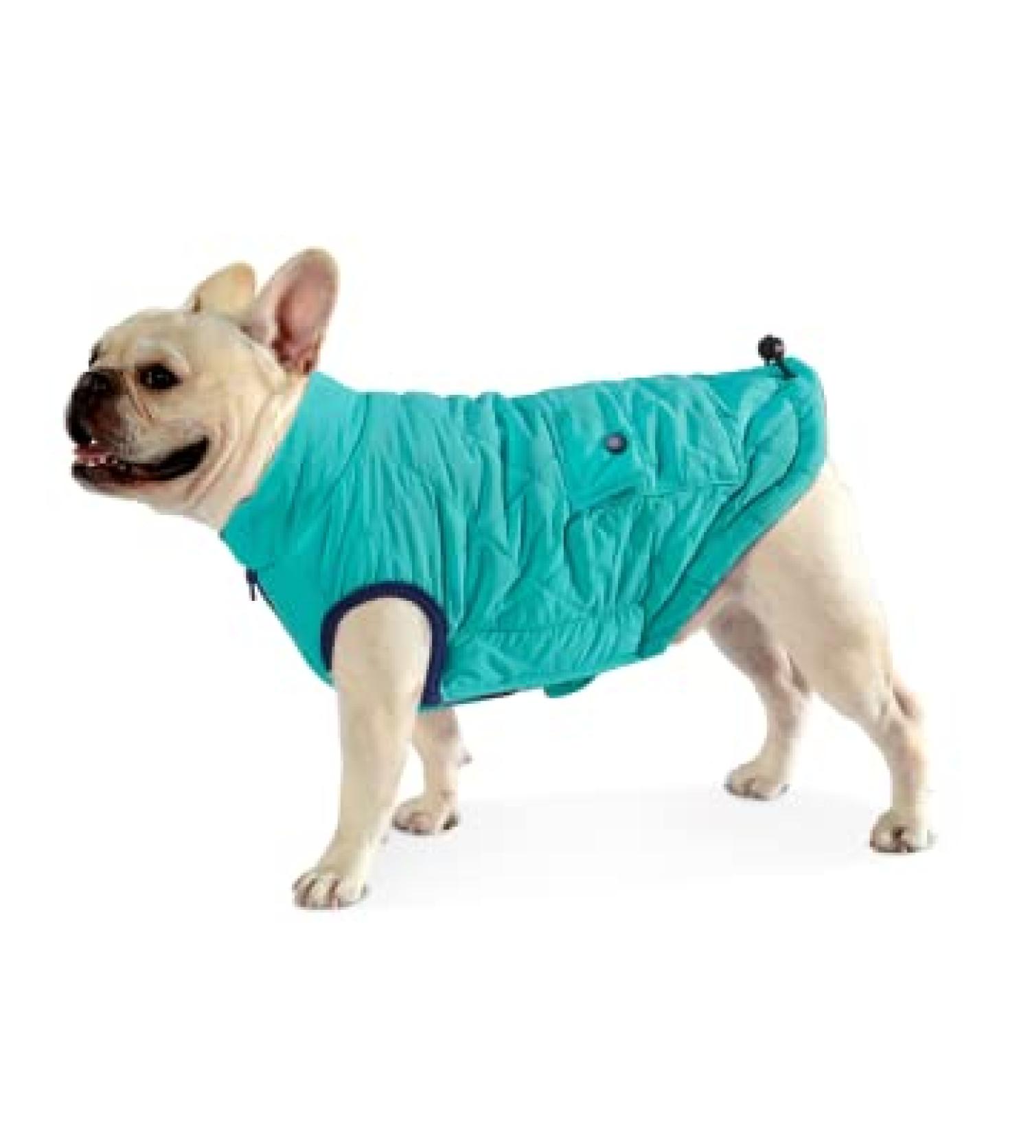 Shop Docio Dog Winter Coat - Cotton Padded Jacket Vest for Small Dogs | L Turquoise | 1-Pack - Buy Online on GoSupps.com