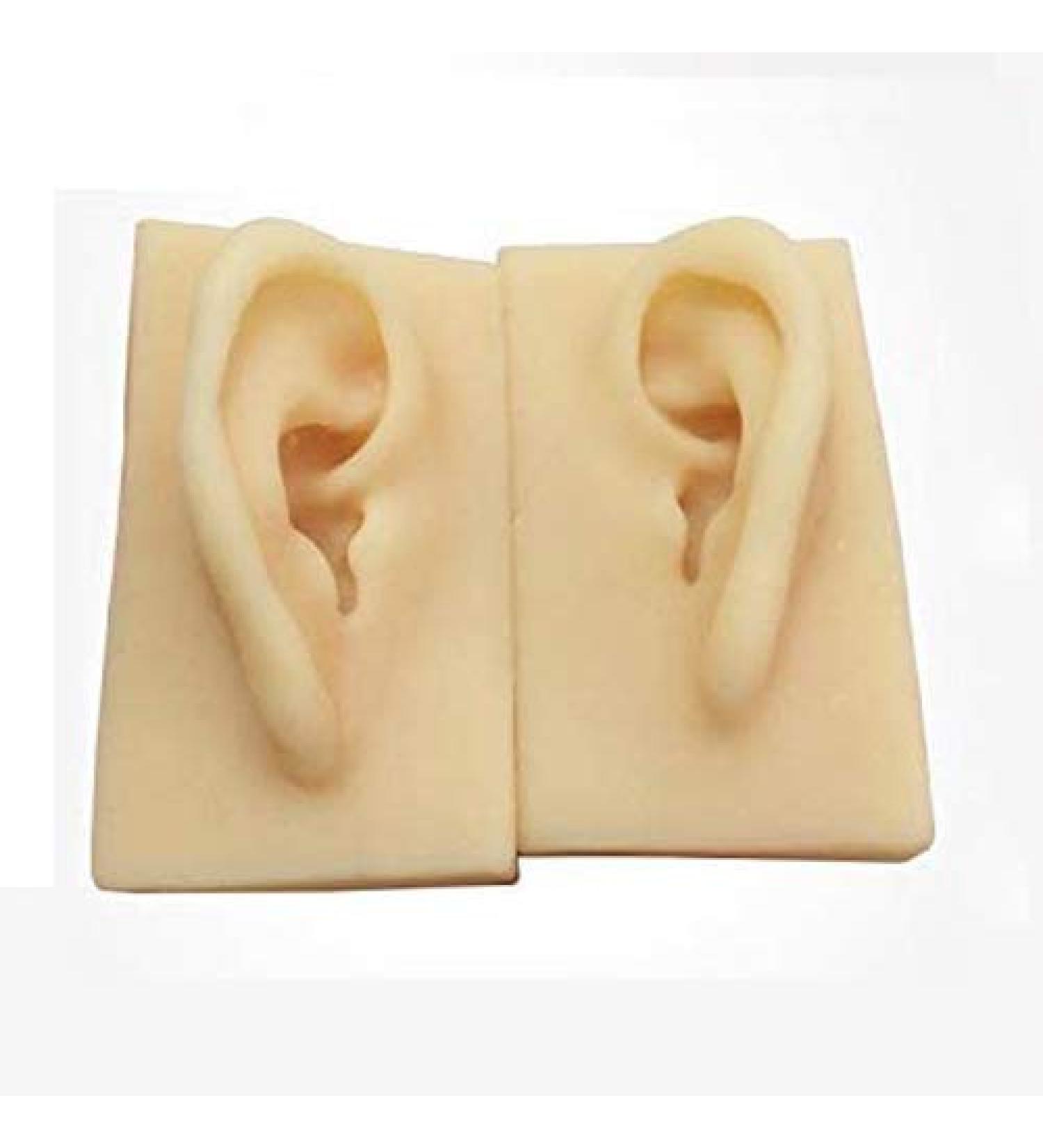 Artificial Human Ear Silicone Ear Model - Simulation Silicone Ear Model for Micro Plastic Surgery Module Pierced Ear Piercing Demonstration Teaching Props - Buy Online on GoSupps.com