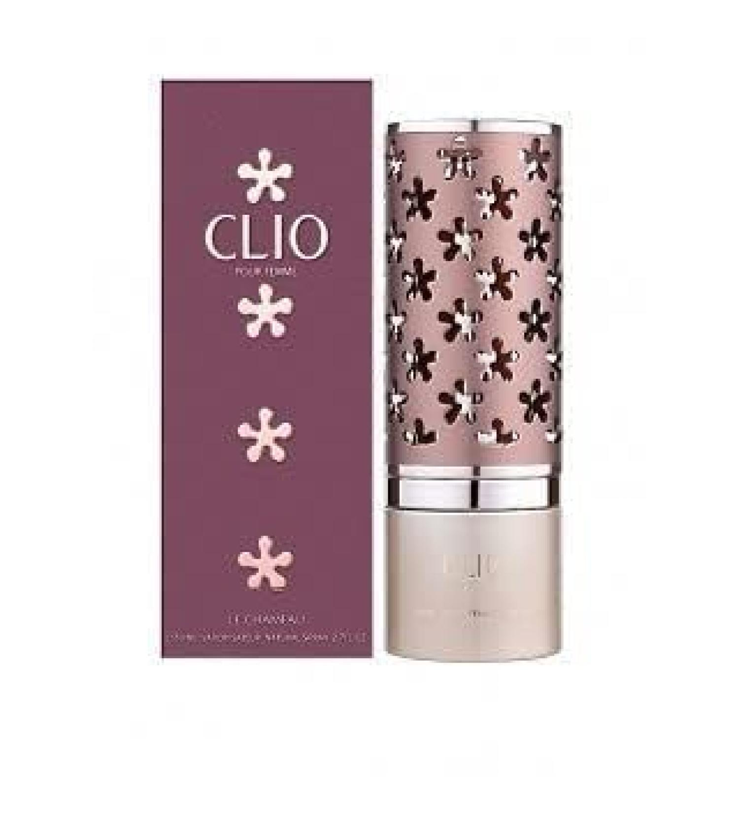 DJ Clio Pour Femme | Refreshing Long Lasting Perfume | Premium Imported Perfume | EDT Perfume for Women | 100ml (Clio Pour Femme 100ml Pack of 1)