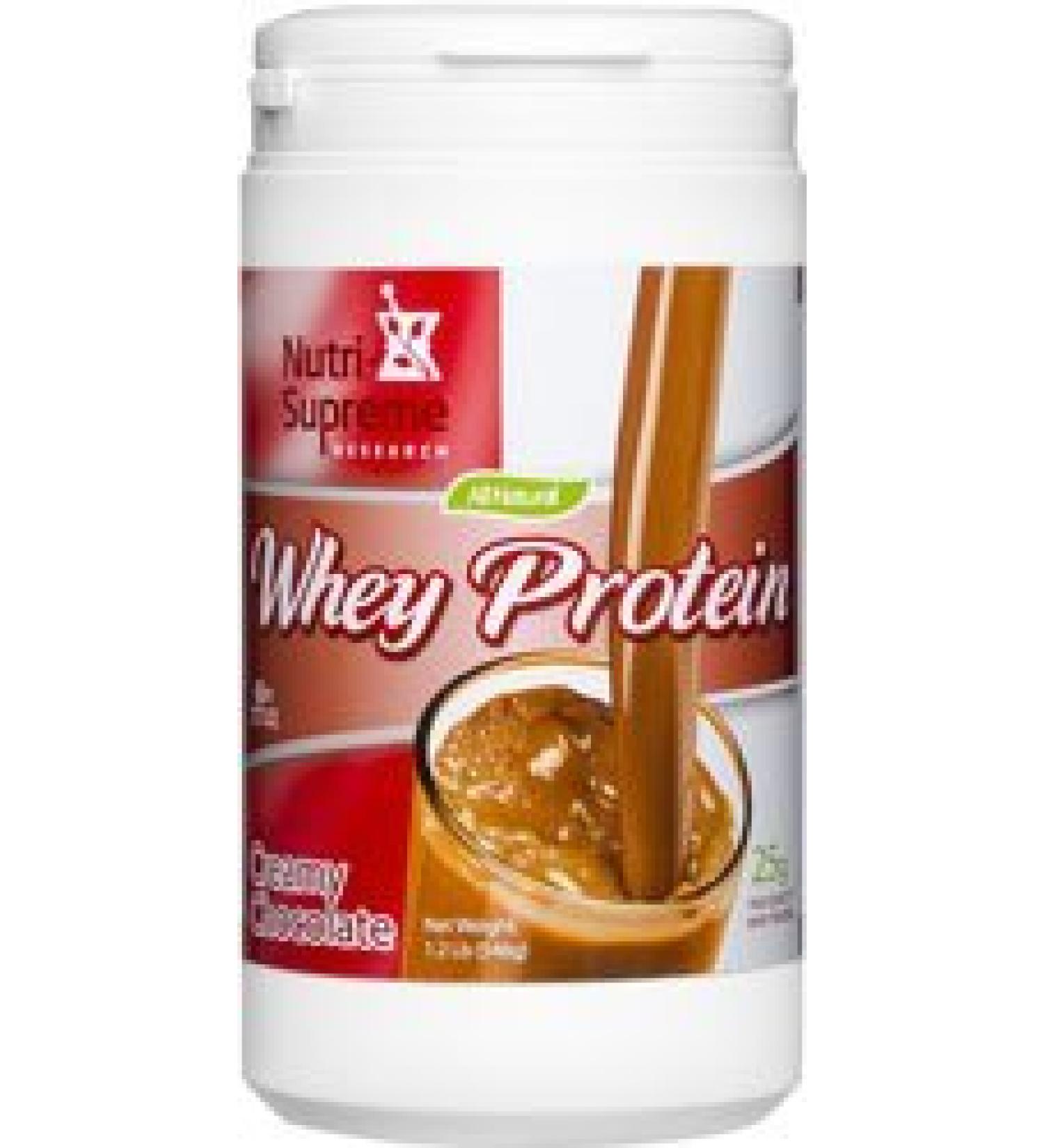 Whey Protein Powder Creamy Chocolate Dairy Cholov Yisroel - 1.2 LB