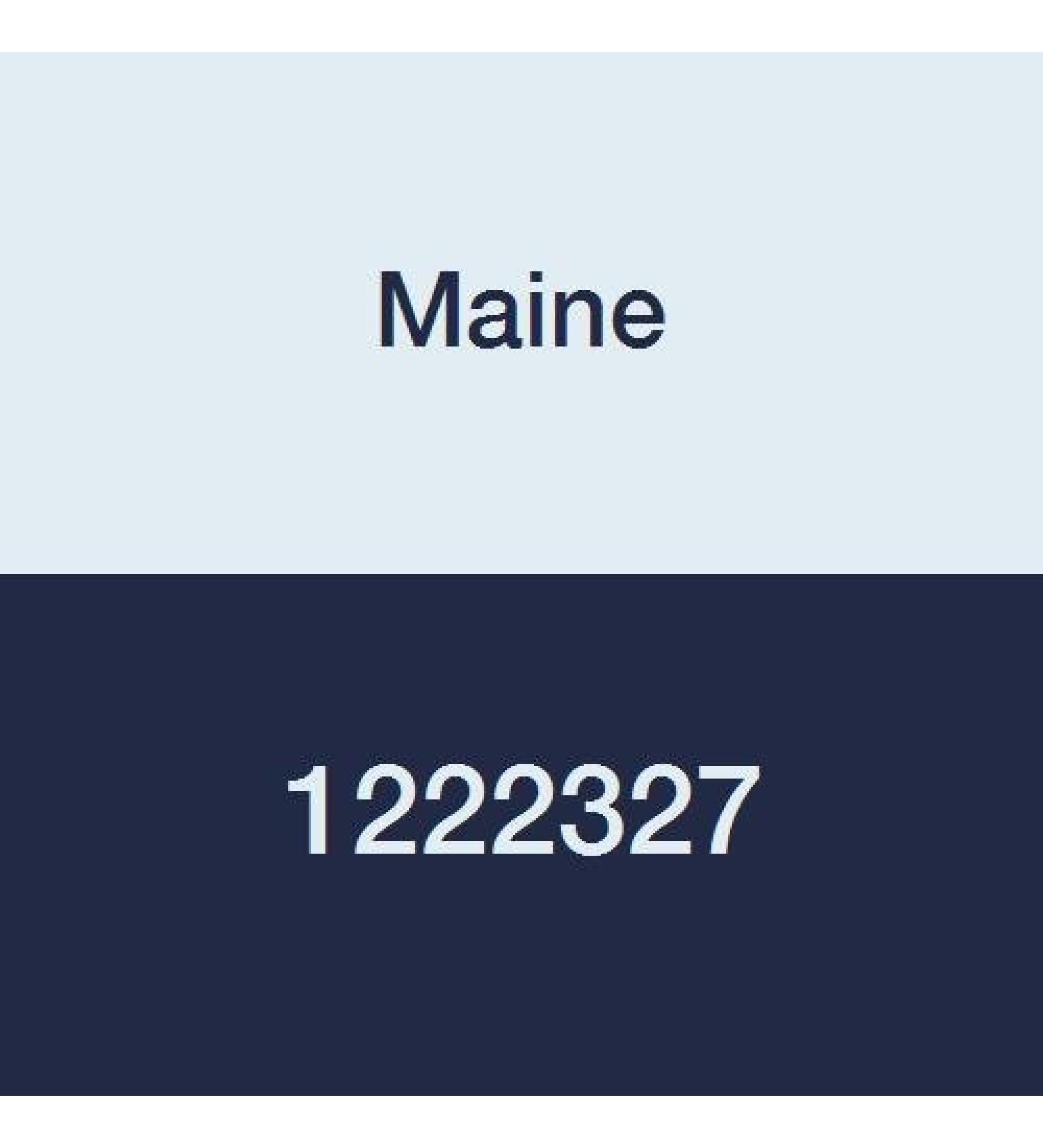 Maine 1222327 PES Capsule Filter Hydrophilic Polyester Housing 0.2 m Pore Size 1.5 Sanitary Flange