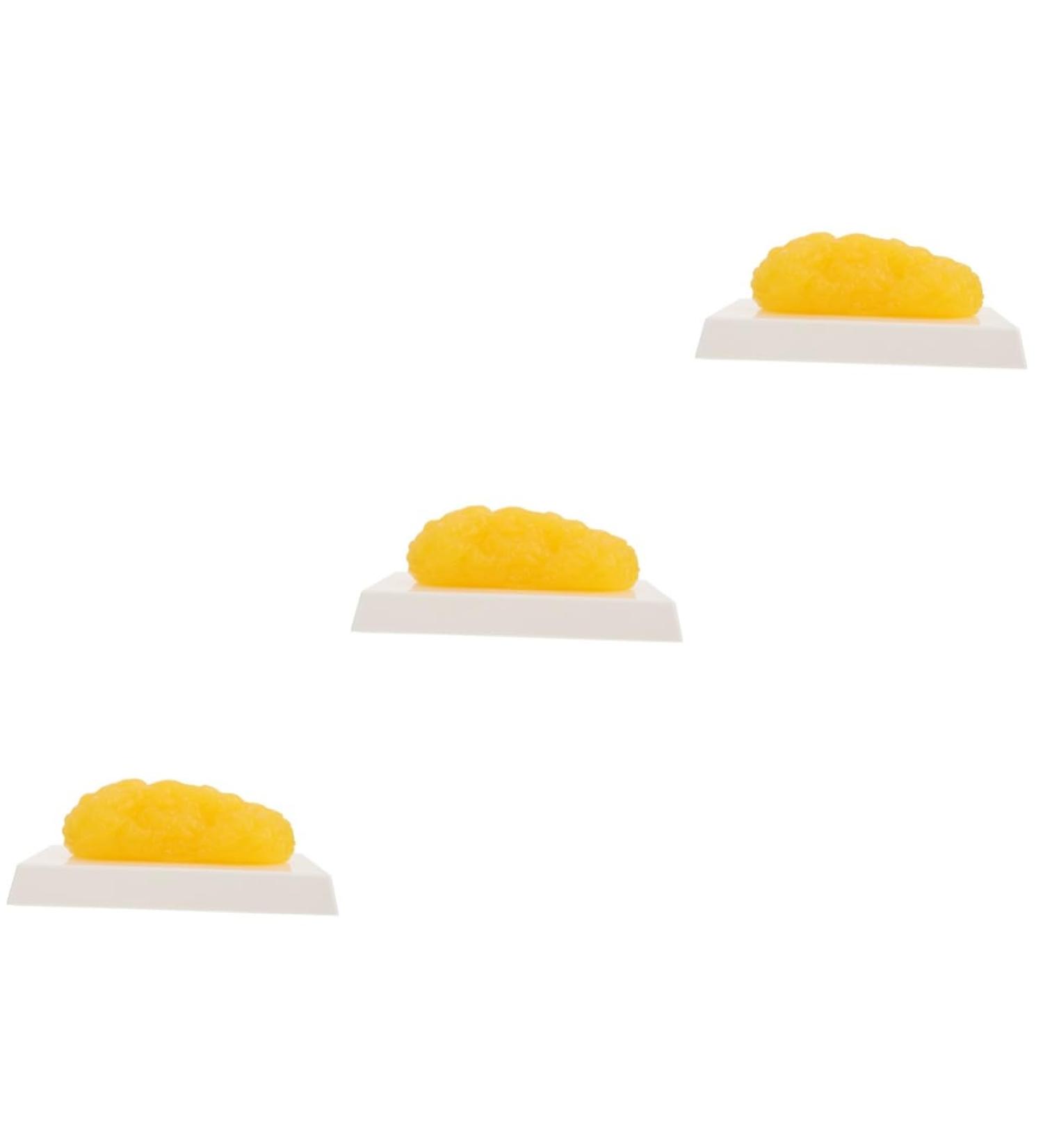 3pcs Fat Model Handheld Mouse 1 Pound Demonstration Model Human Fat Manquin Module Plastic Body Fat - Buy Online on GoSupps.com