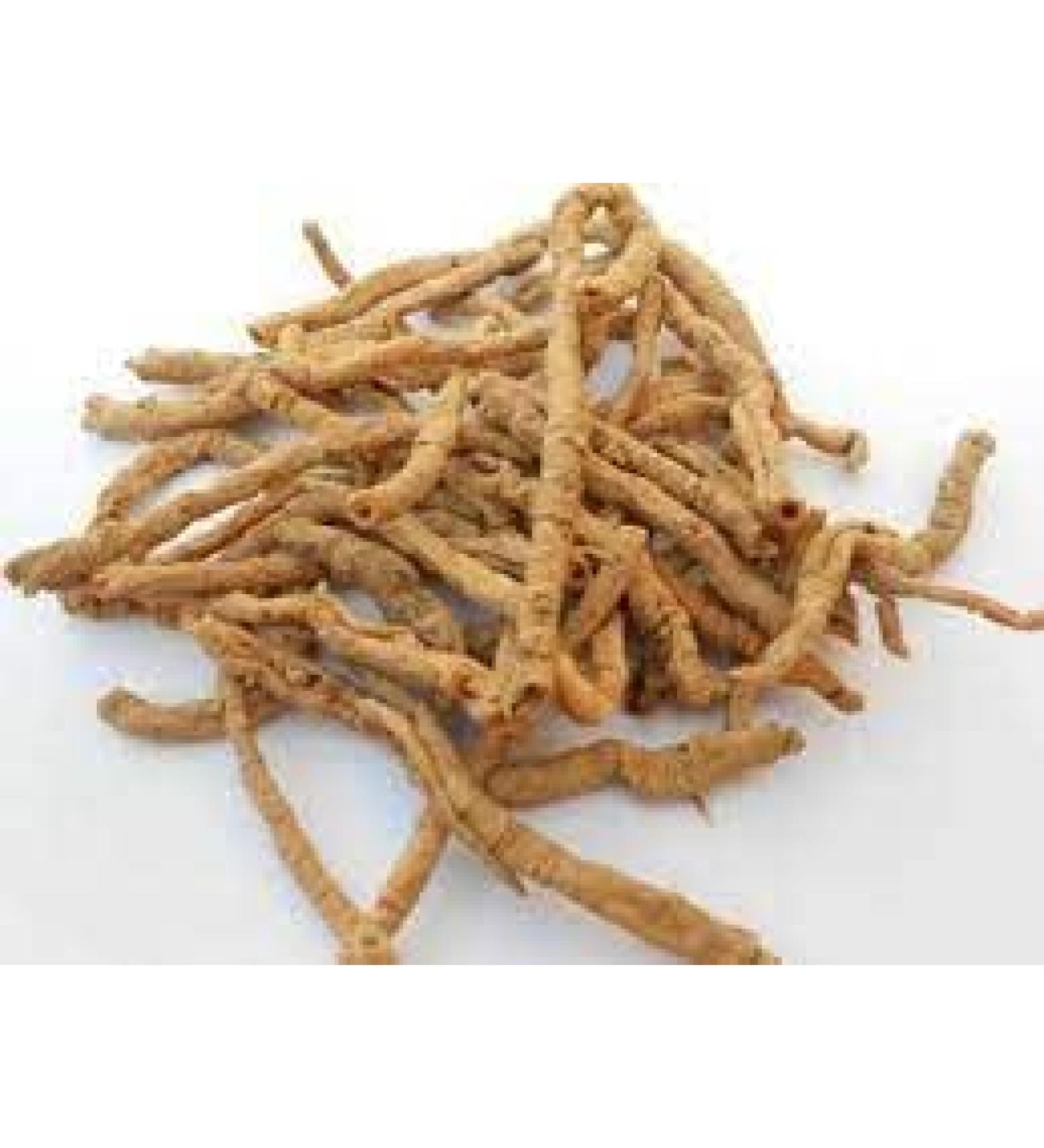 TCM Herbs USA Yuan Zhi / Polygalae Radix / Polygala Root / Chinese Senega / Thinleaf Milkwort (8 oz)