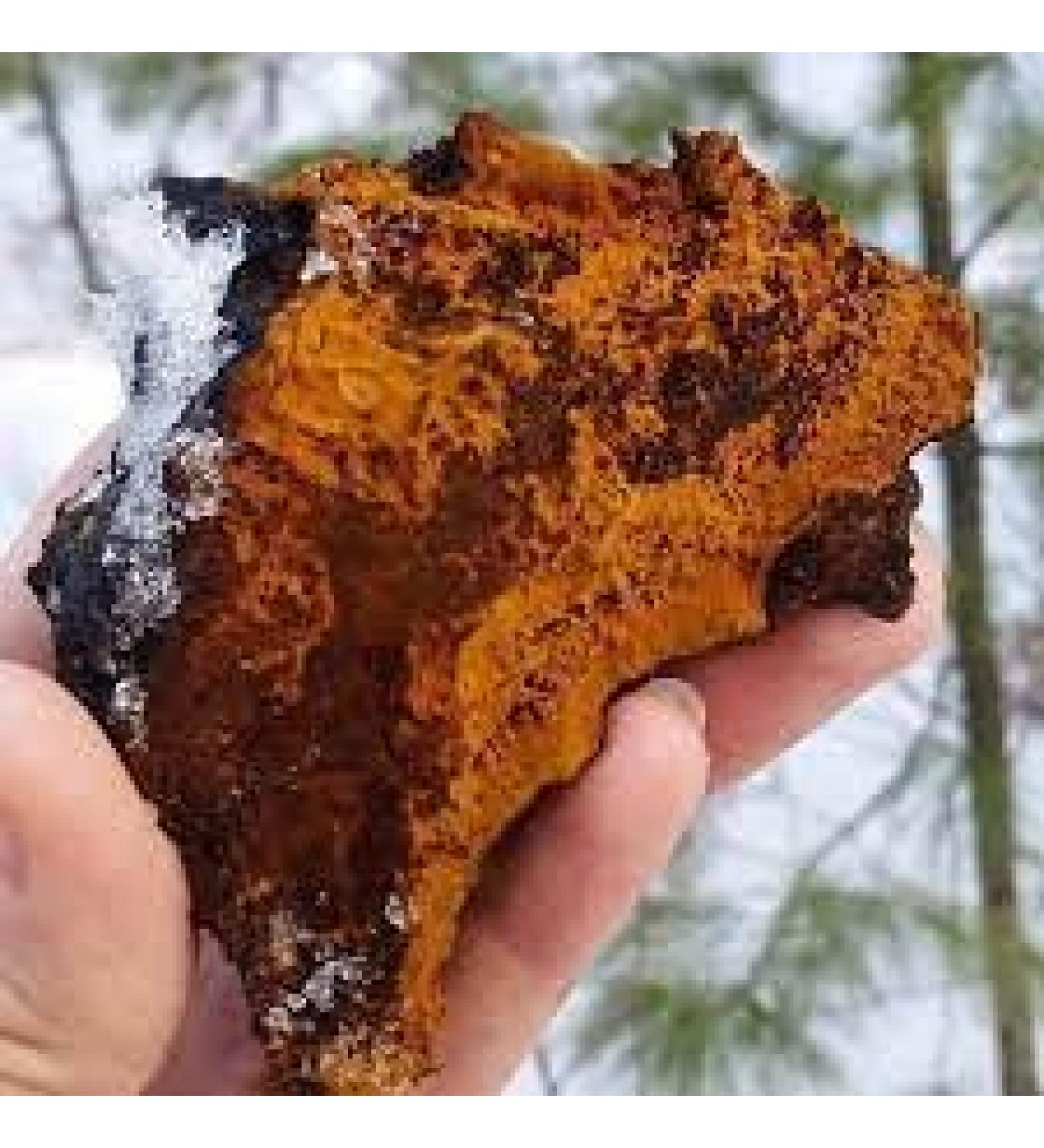 Chaga mushroom powder 400 capsules 500 mg each capsule - Buy Online on GoSupps.com