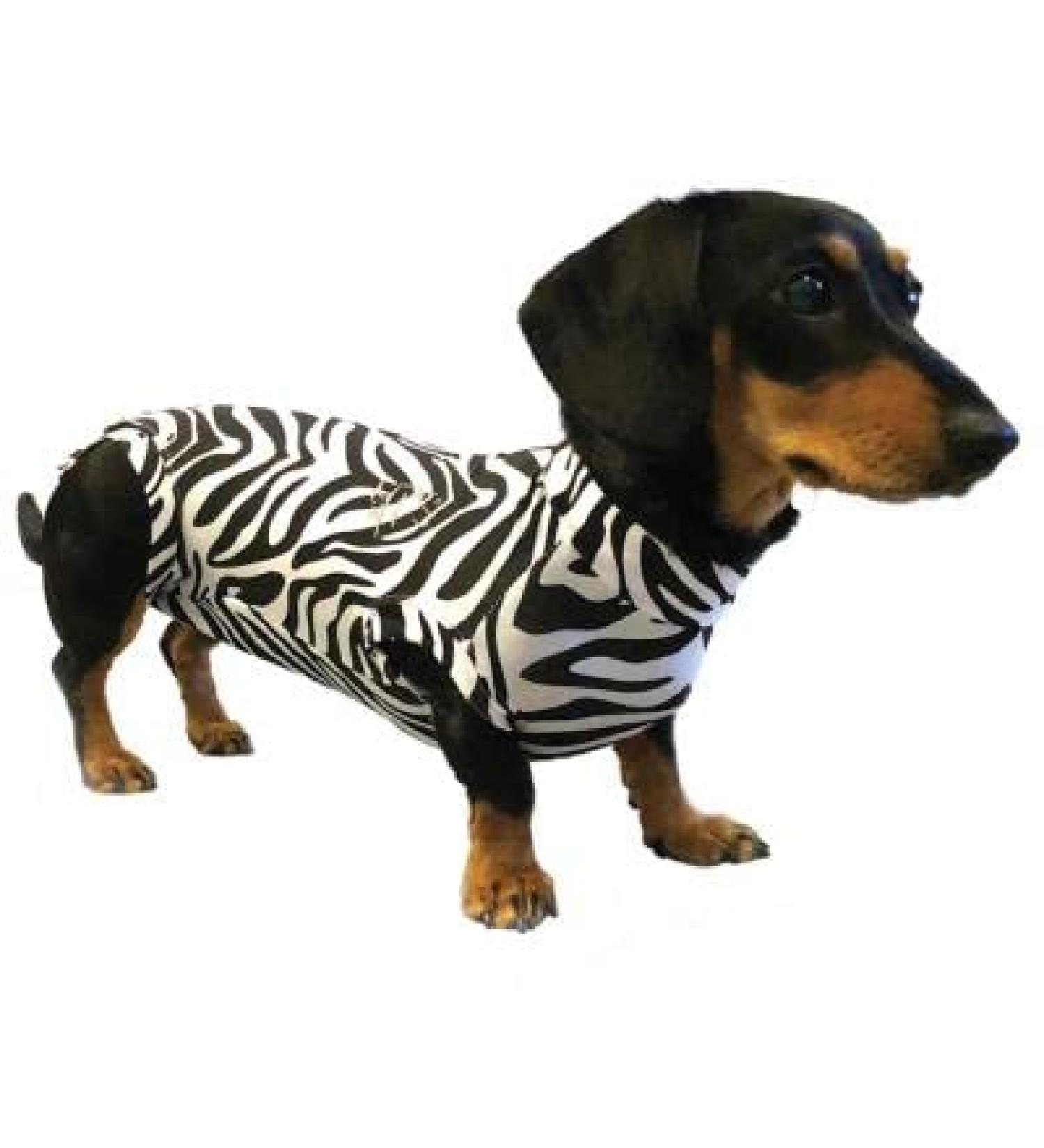 MPS Medical Pet Shirt for Dogs - Zebra Print XXXXS | Comfortable & Stylish Recovery Wear - Buy Online on GoSupps.com