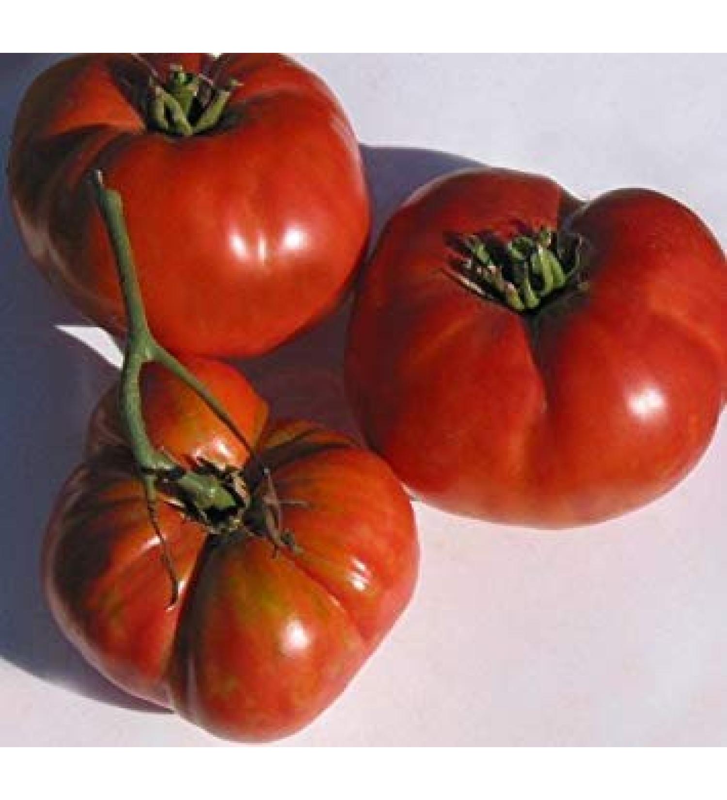 VISA STORE 5 Packs of 25 Seeds Todd County Amish- Tomato Seeds