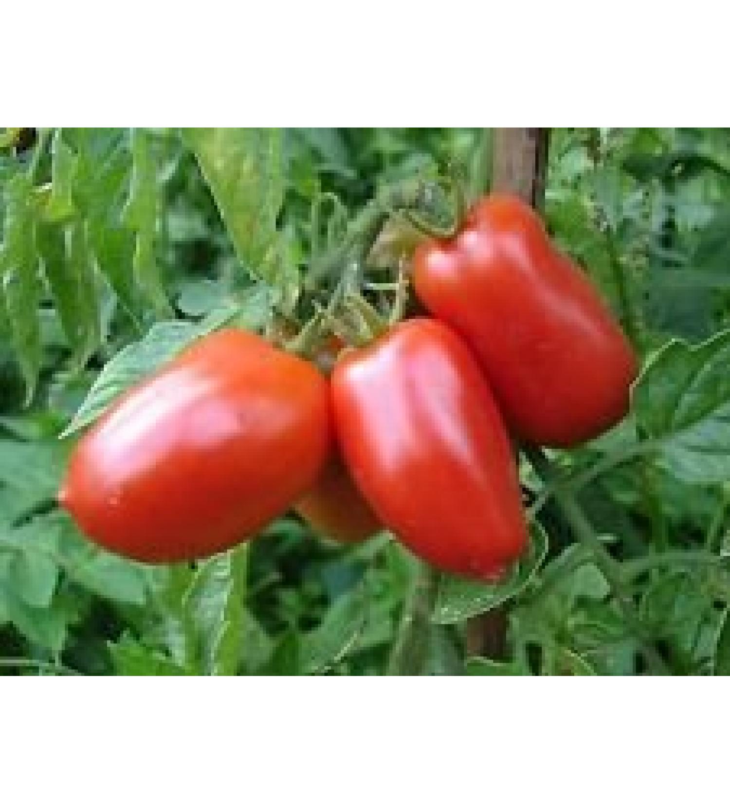 30 San Marzano Semi 3 Tomato 2017 ($ 3.00 Max Shipping!) - Buy Online on GoSupps.com