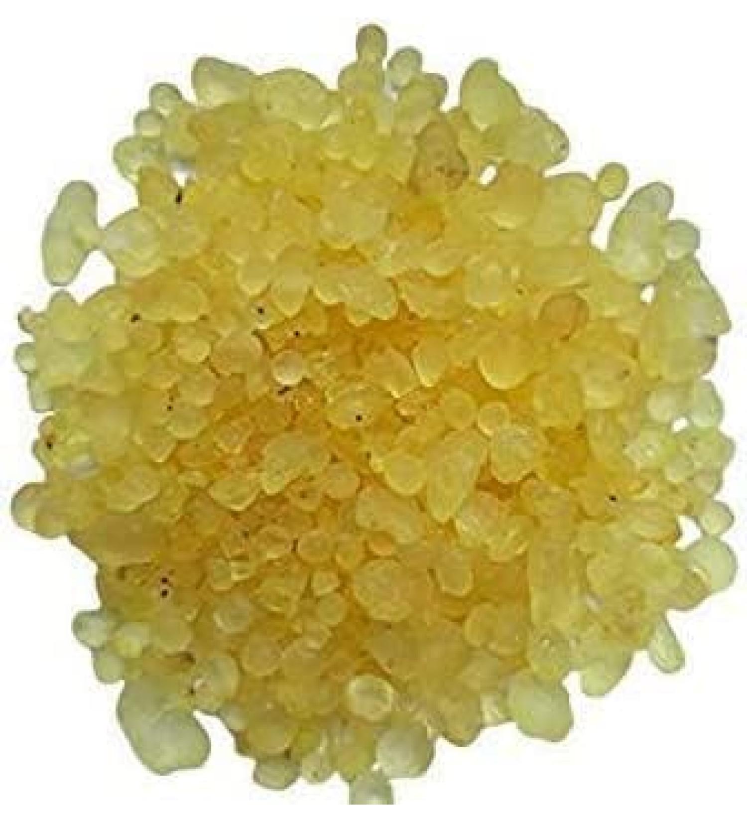 NN Rumi MASTAGI ROOMI MASTGI Pistacia Lentiscus (50 GMS)